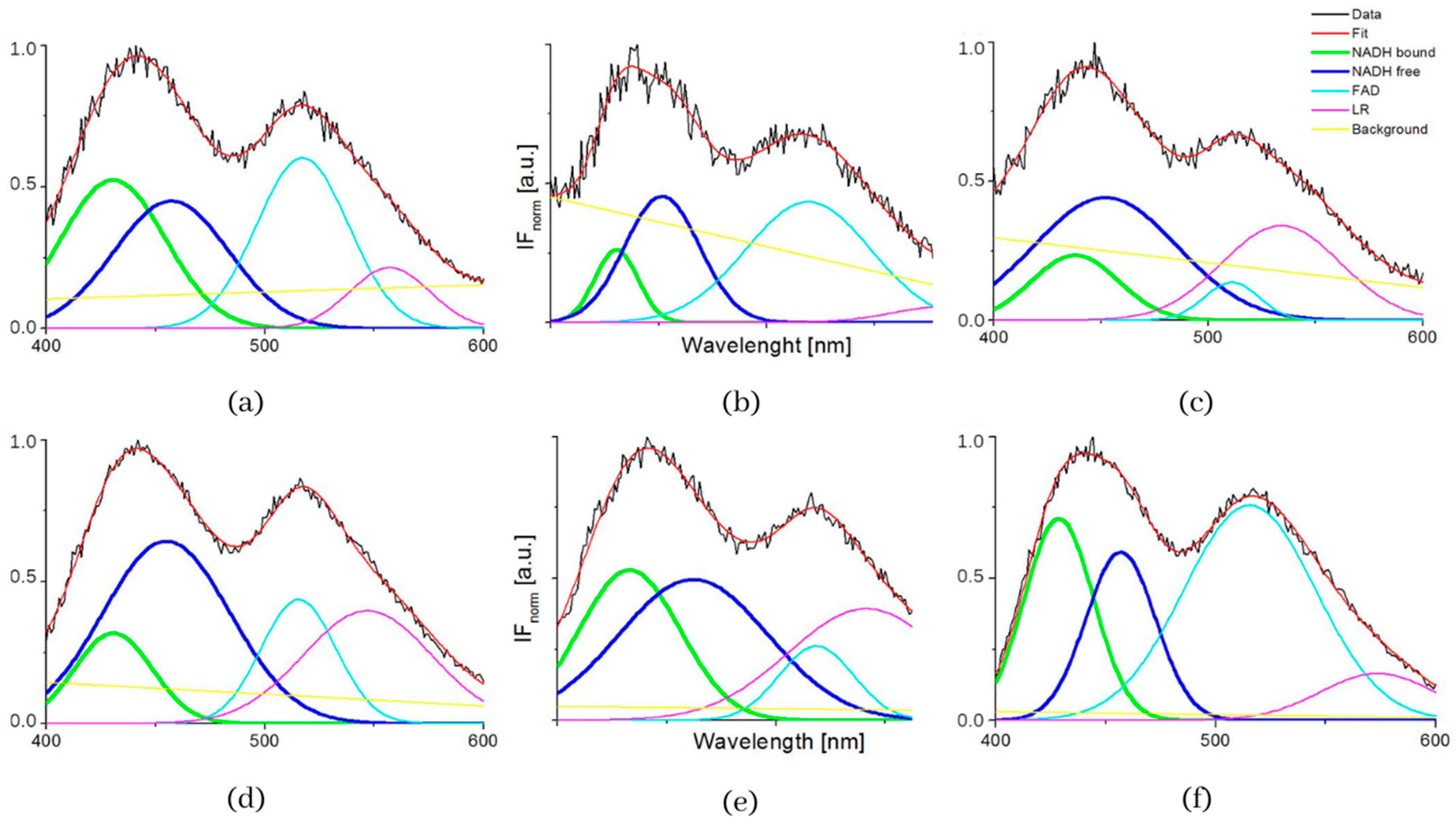 Biosensors 13 00256 g005