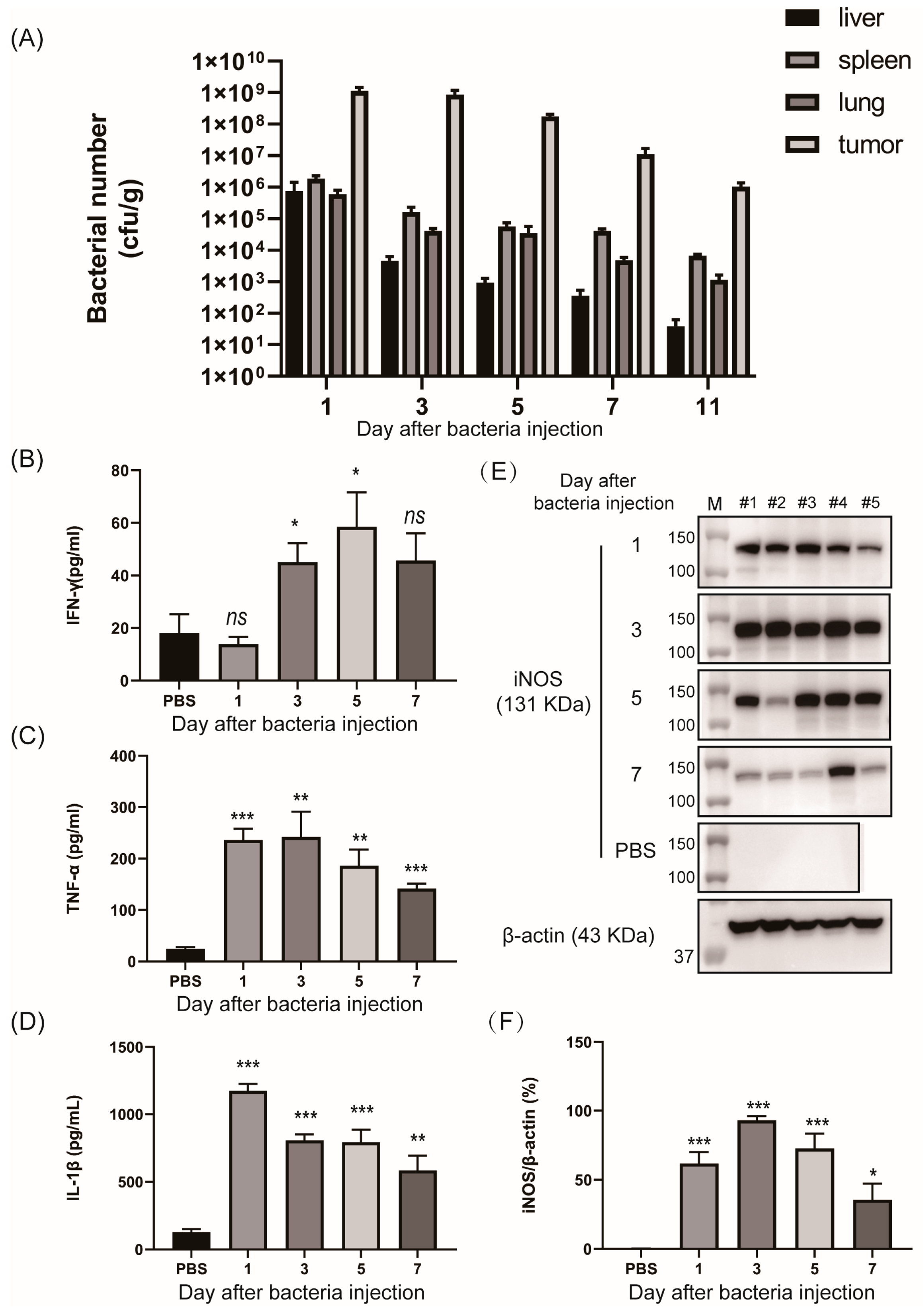 Biosensors 13 00266 g005