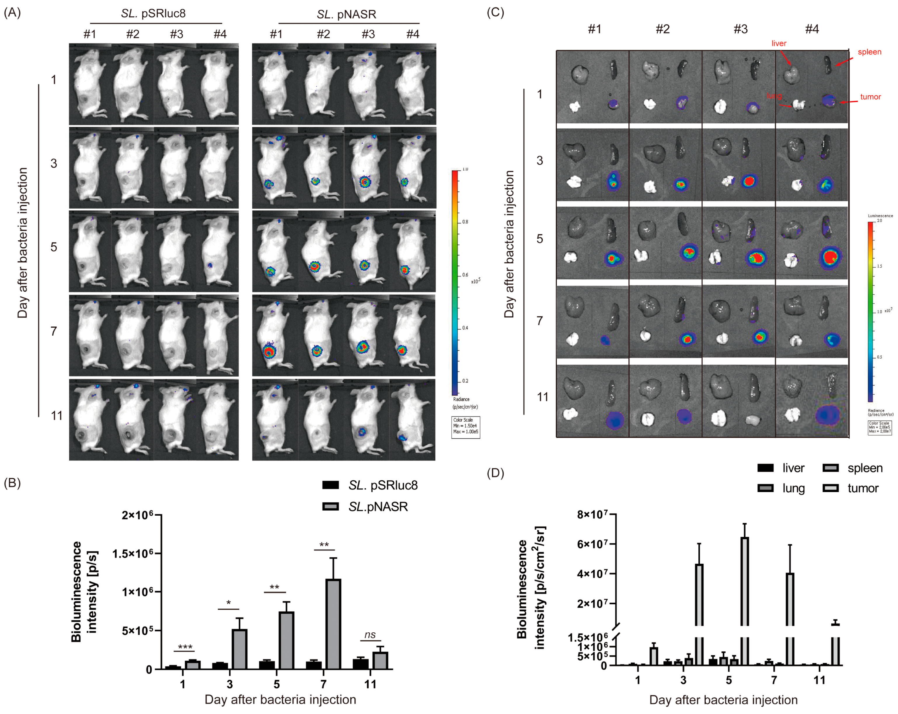 Biosensors 13 00266 g006