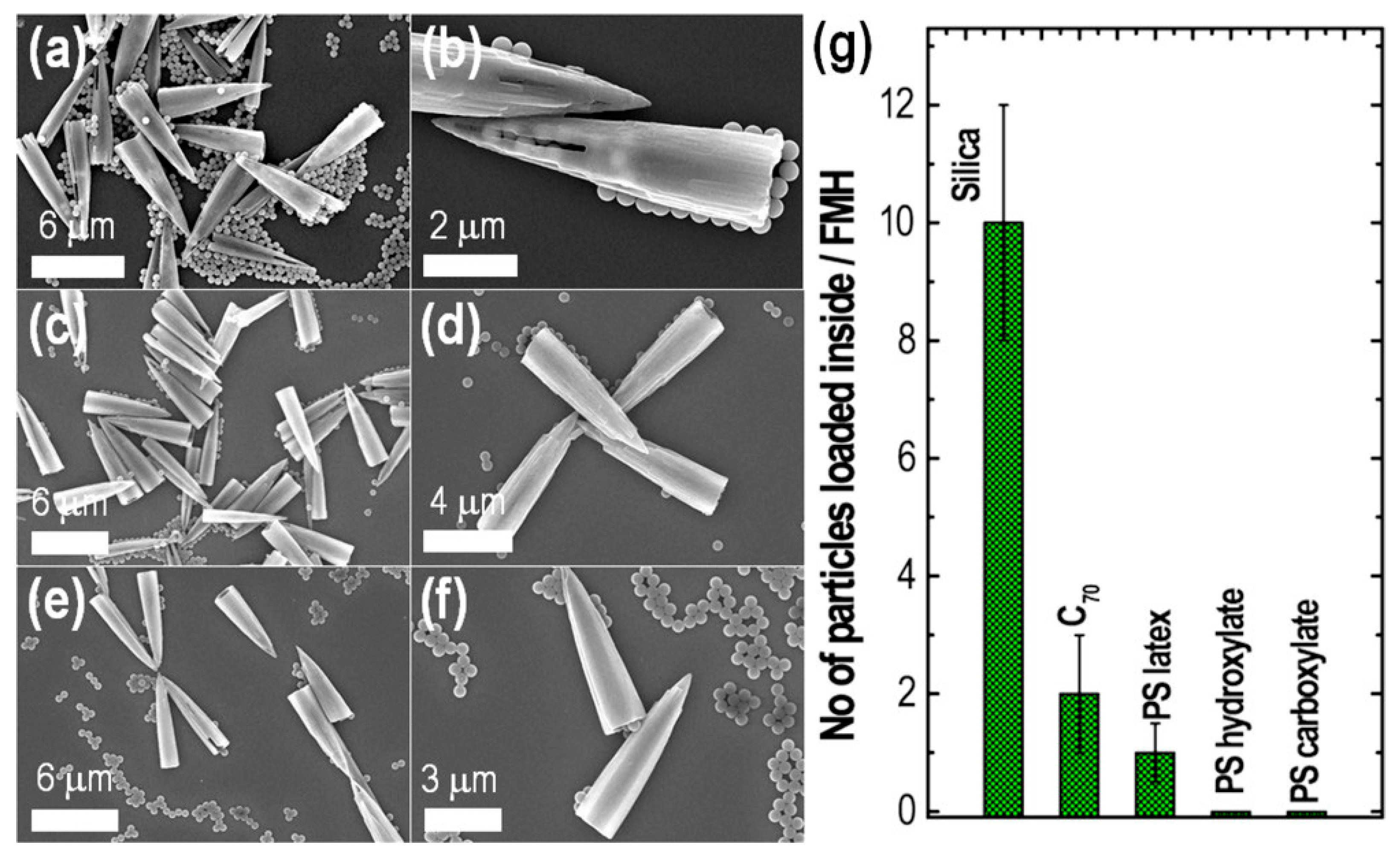 Biosensors 13 00286 g009 Biosensors 13 00286 g009