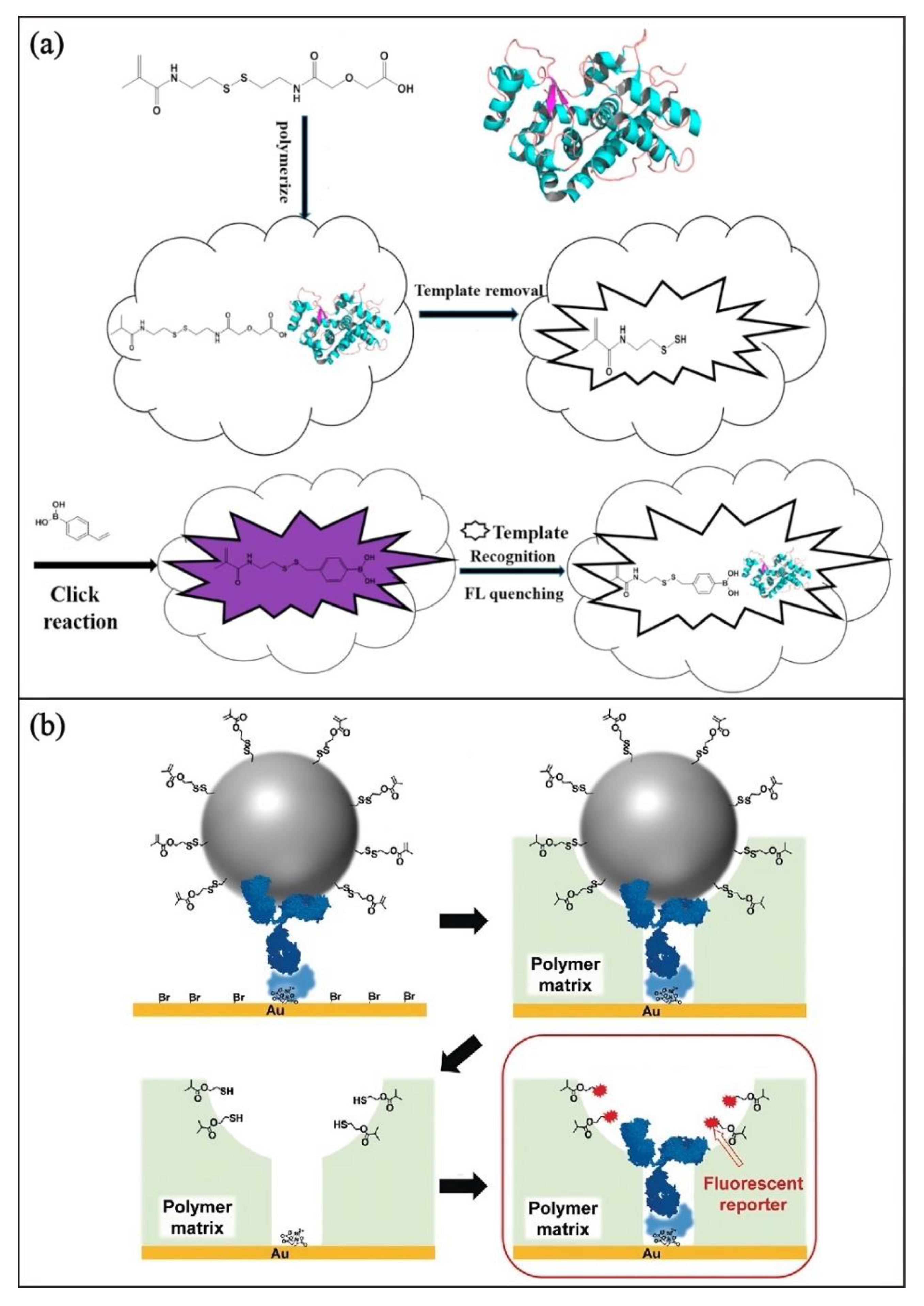 Biosensors 13 00295 g004 Biosensors 13 00295 g004