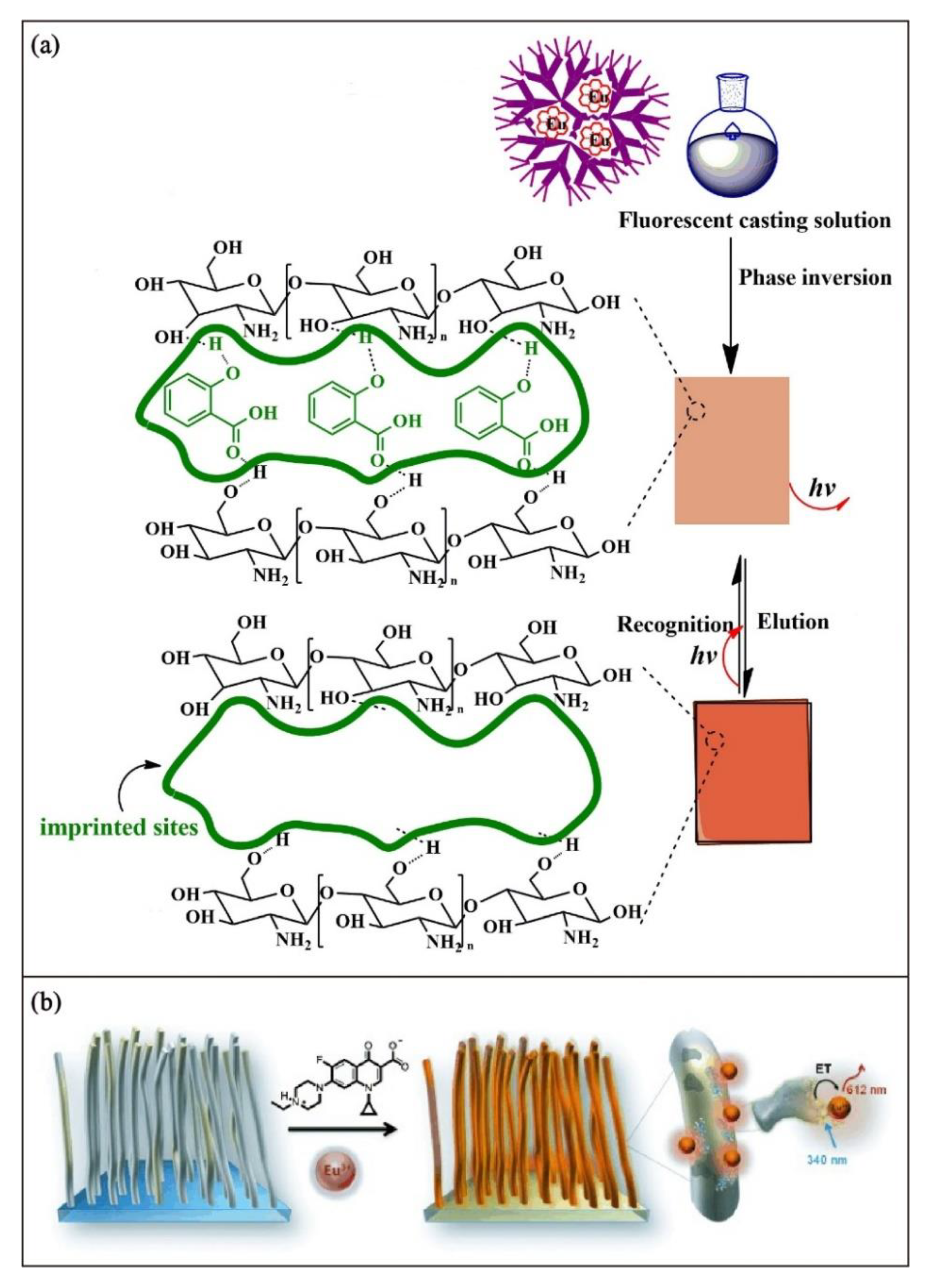 Biosensors 13 00295 g005 Biosensors 13 00295 g005