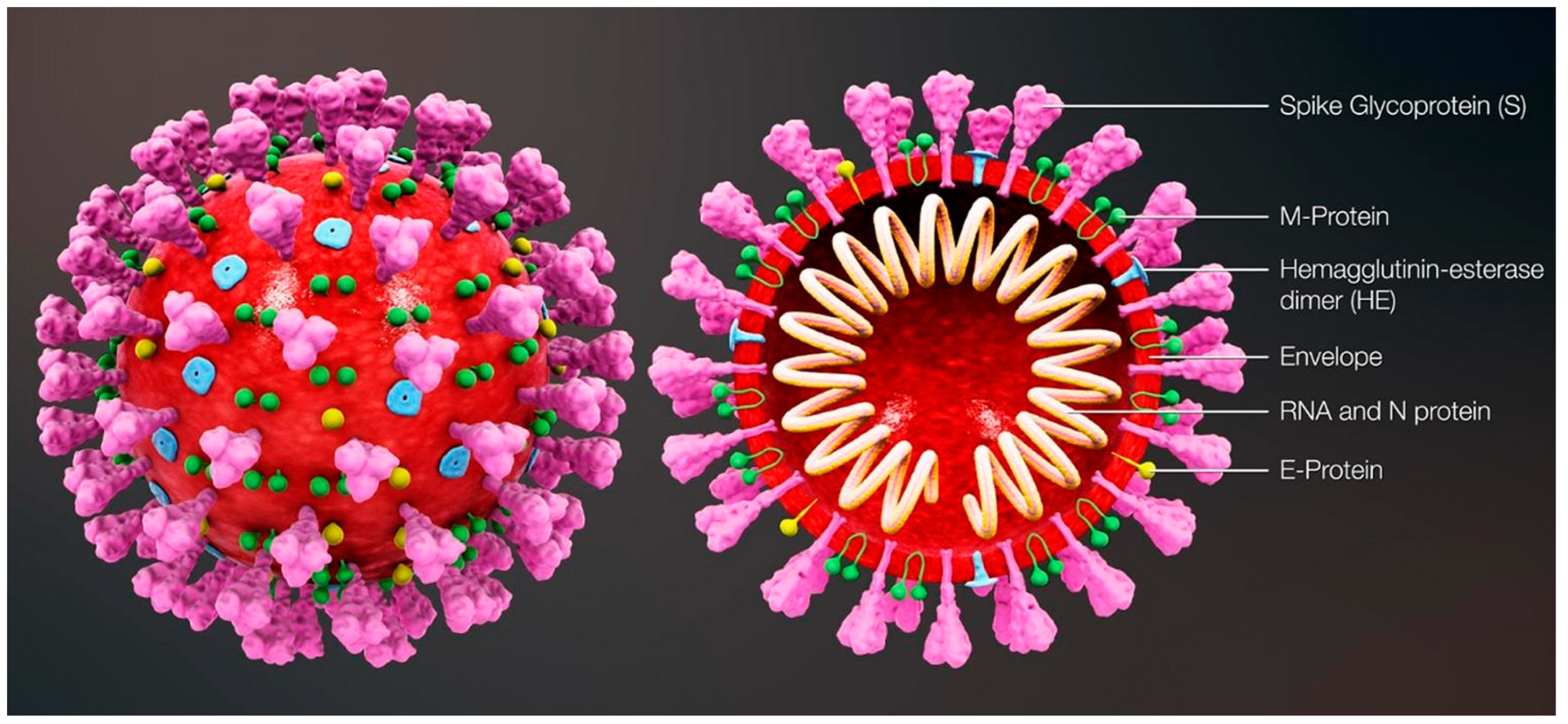 Biosensors 13 00307 g001