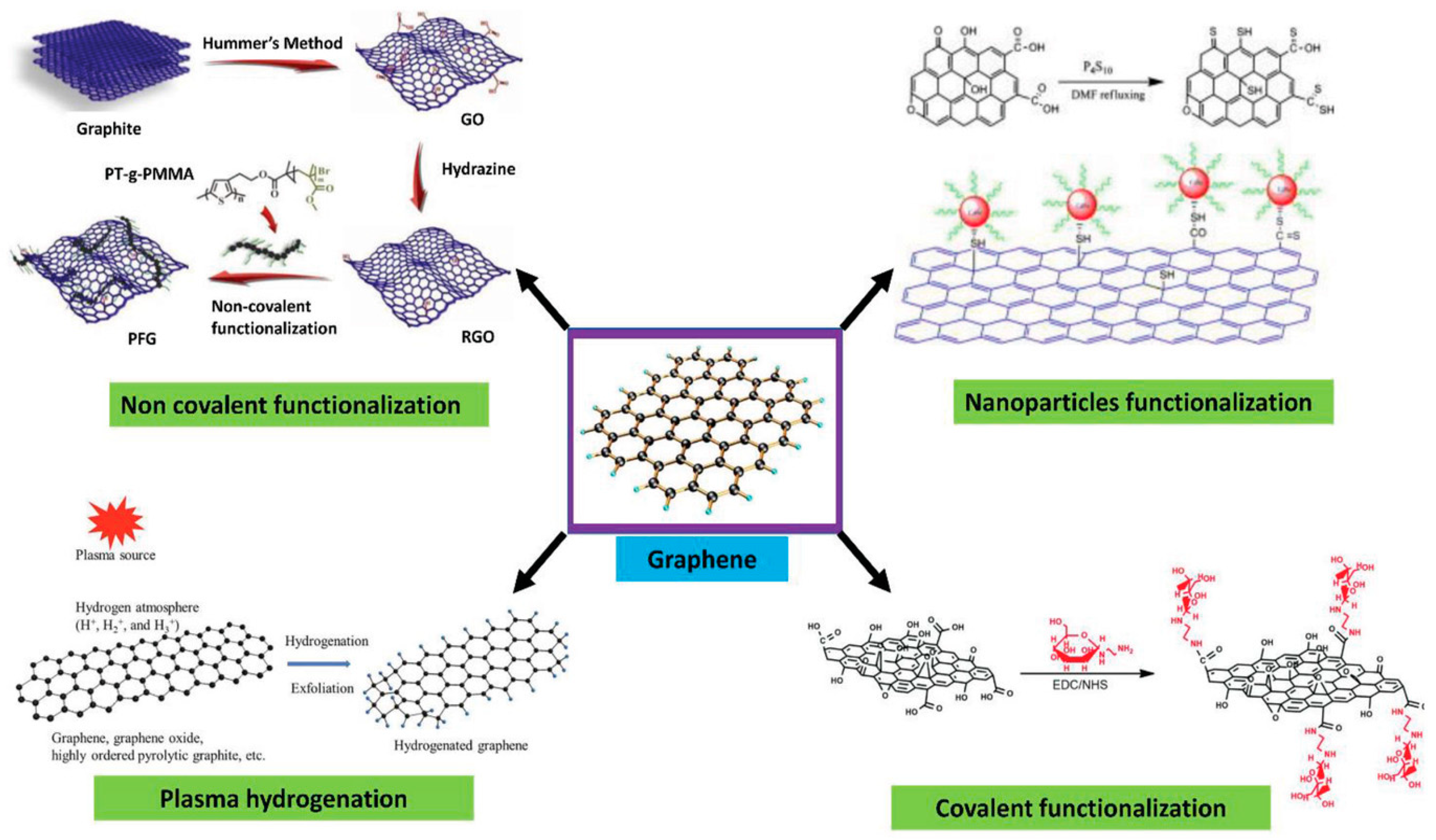 Biosensors 13 00307 g003
