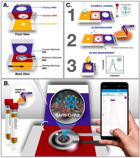 Biosensors Free Full Text A Brief Review Of Graphene Based Biosensors Developed For Rapid