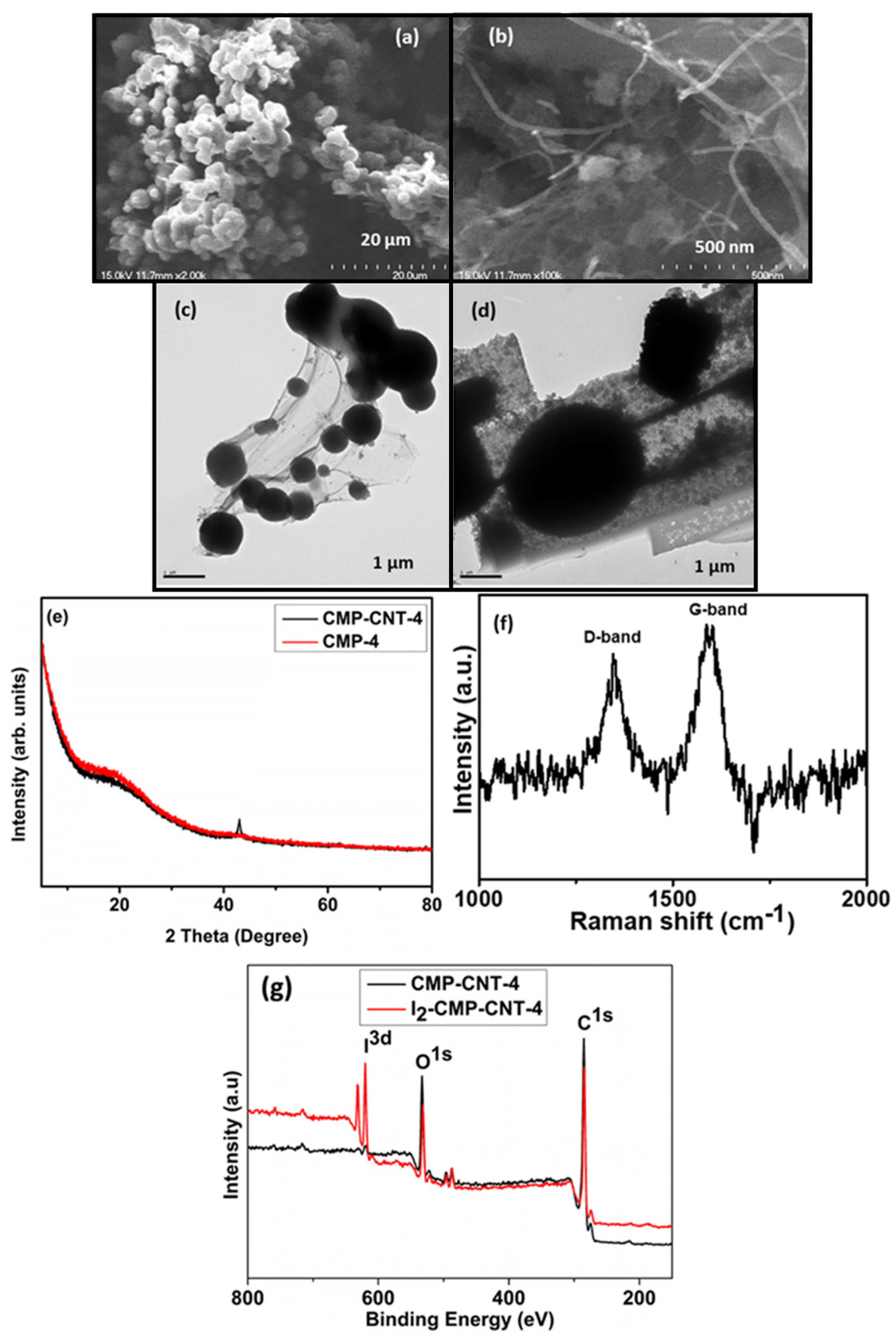 Biosensors 13 00308 g002
