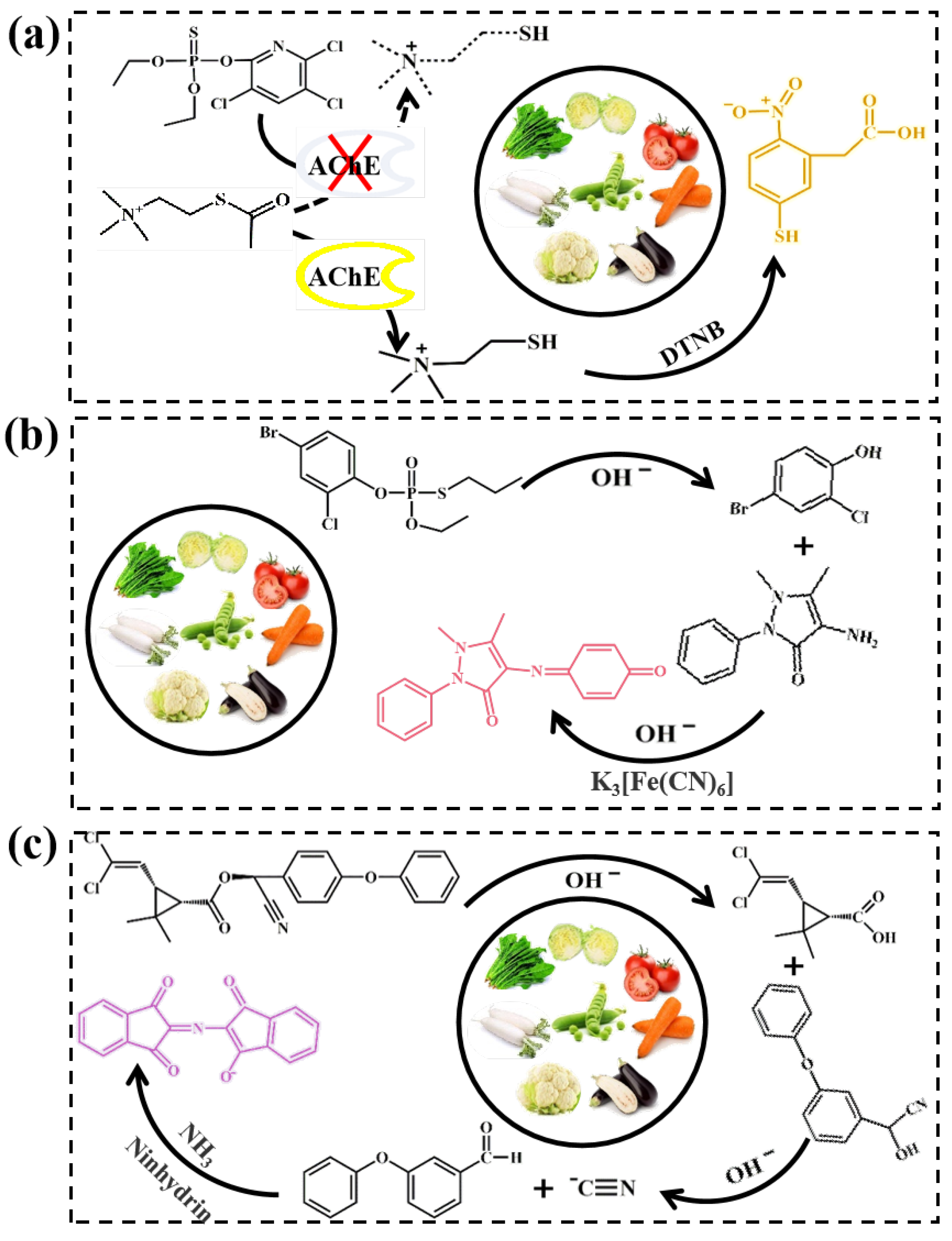 Biosensors 13 00309 g005