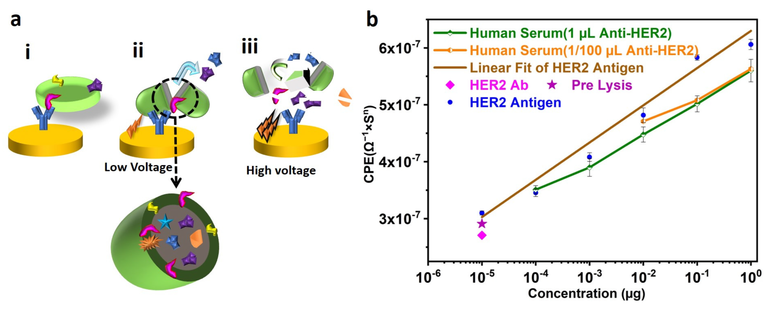 Biosensors 13 00323 g007