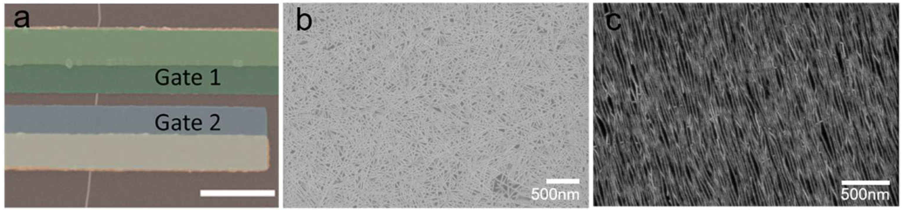 Biosensors 13 00326 g004 Biosensors 13 00326 g004
