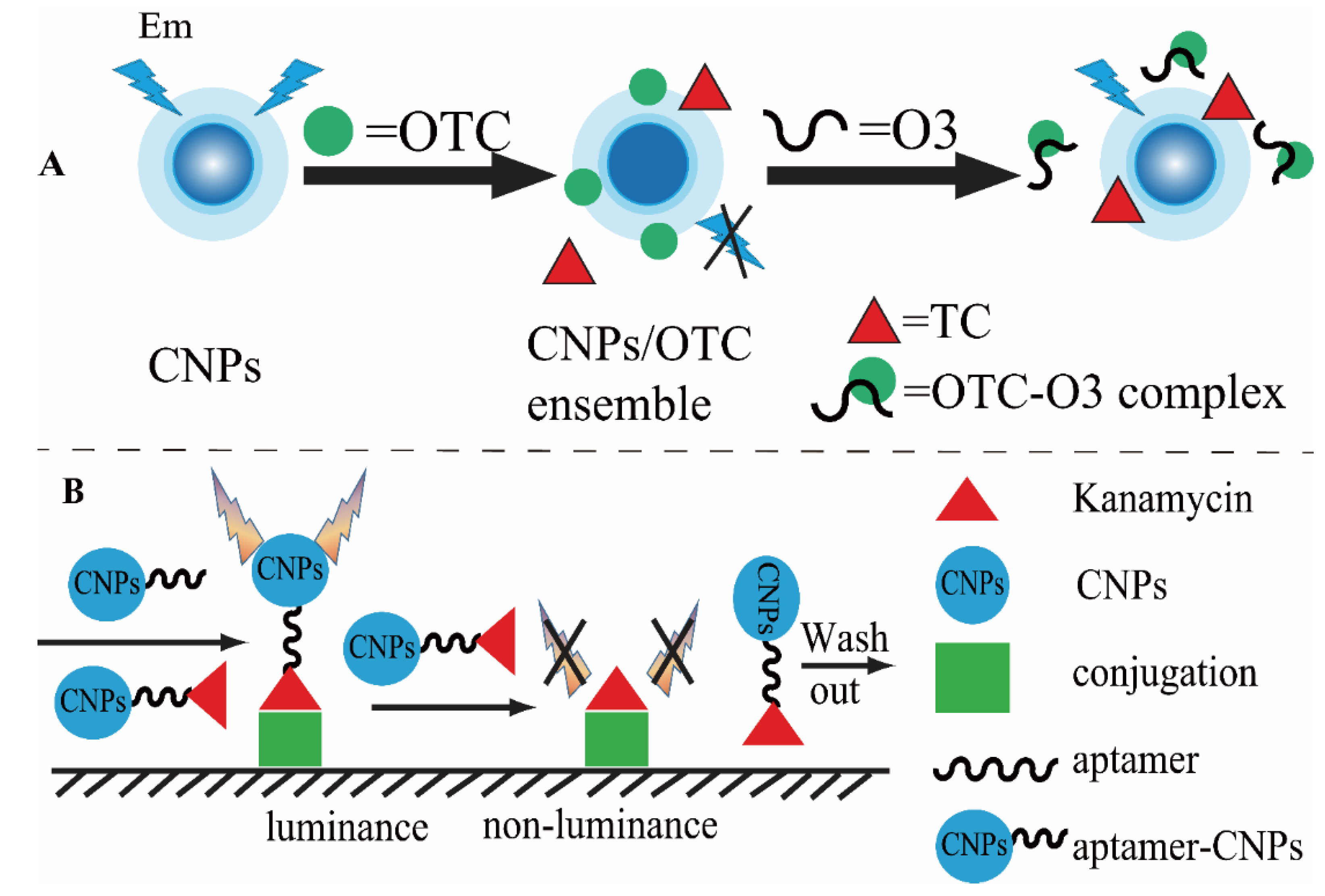 Biosensors 13 00327 g006 Biosensors 13 00327 g006