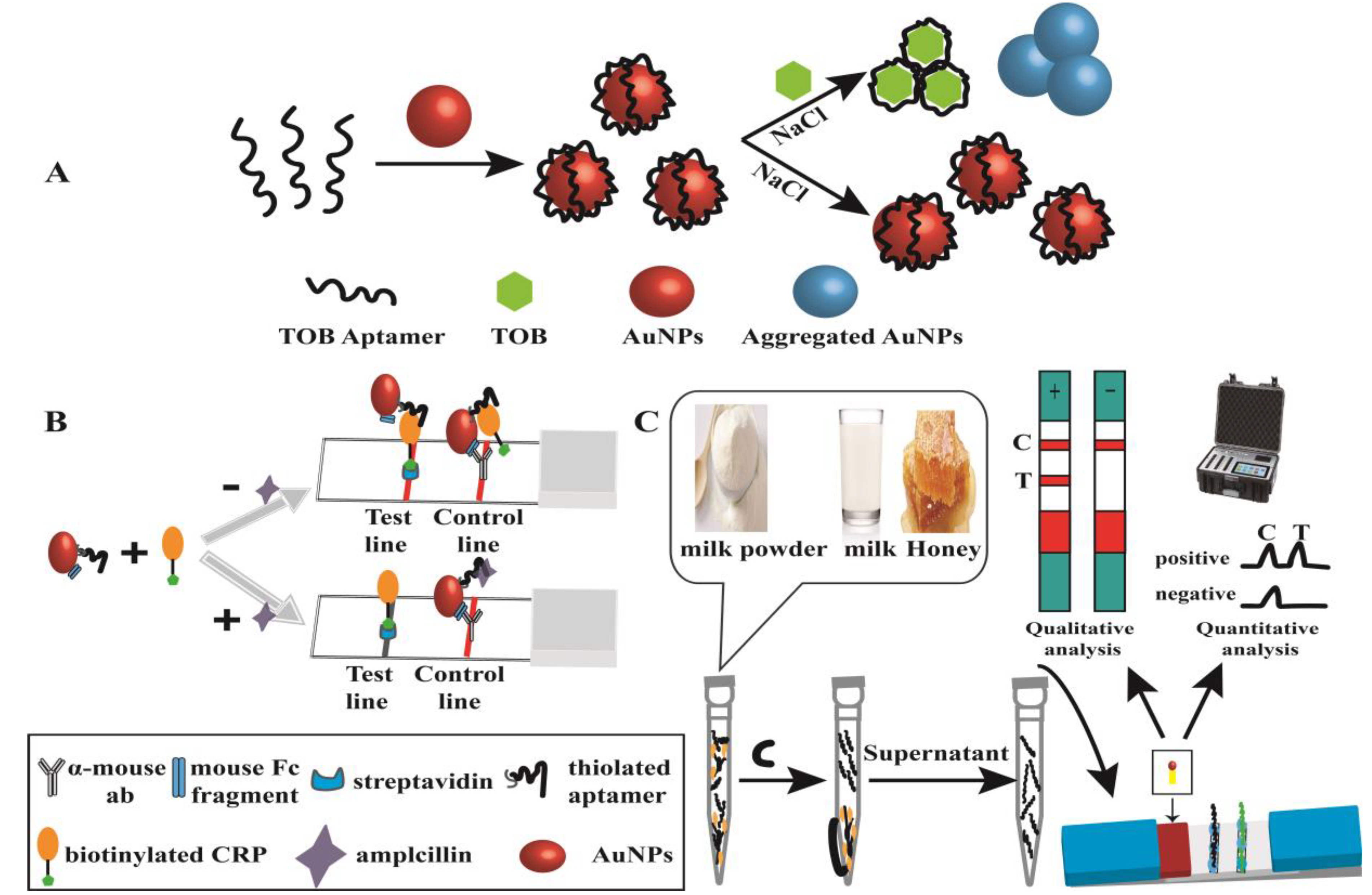 Biosensors 13 00327 g007 Biosensors 13 00327 g007
