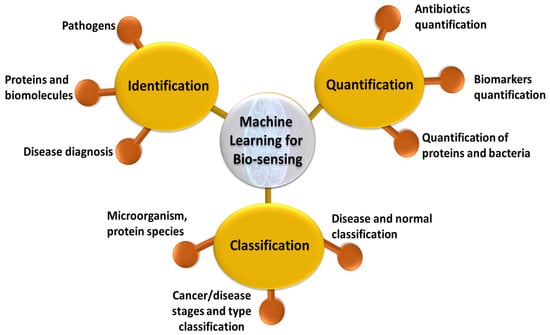 Biosensors | Free Full-Text | Recent Trends in SERS-Based 