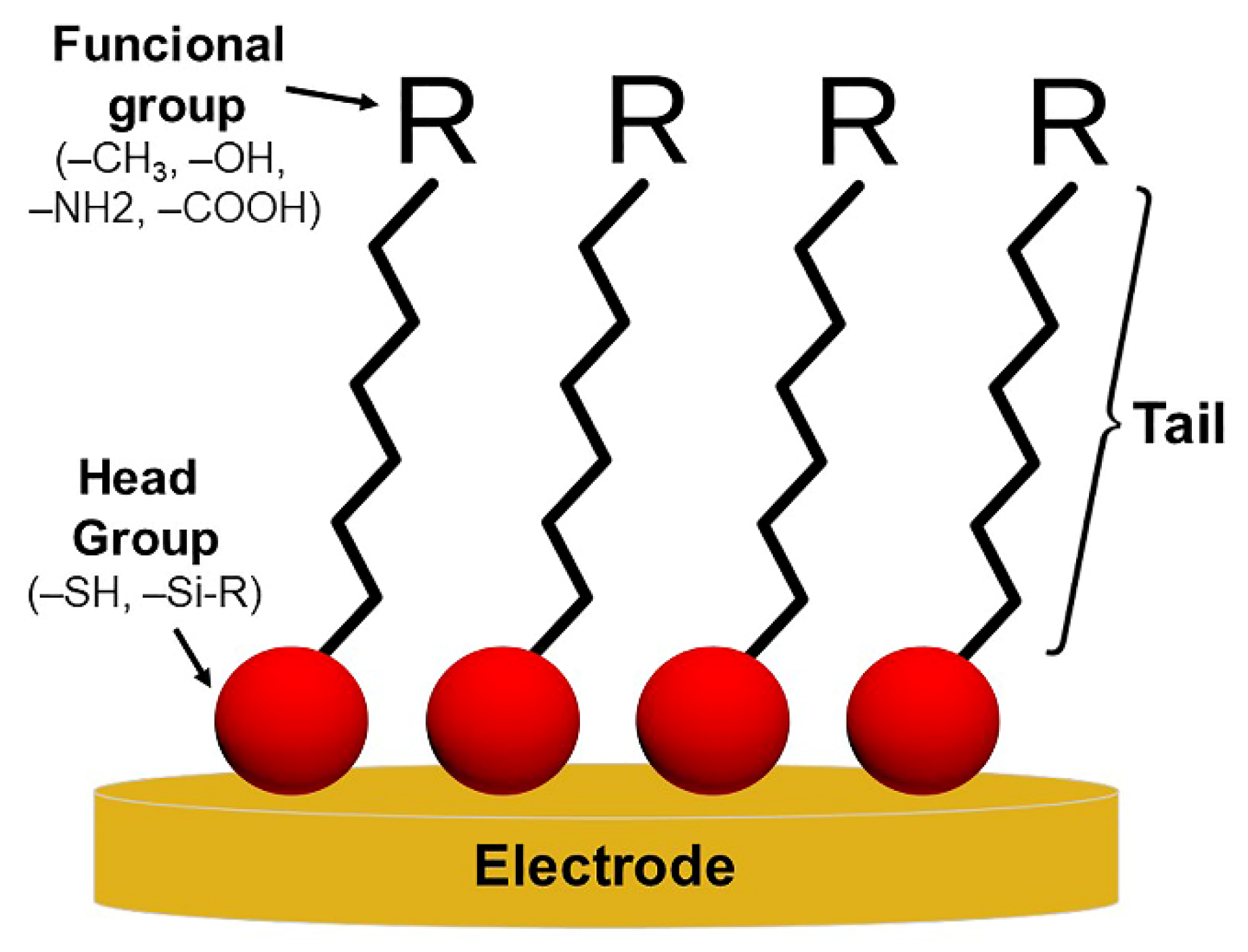 Biosensors 13 00336 g003 Biosensors 13 00336 g003