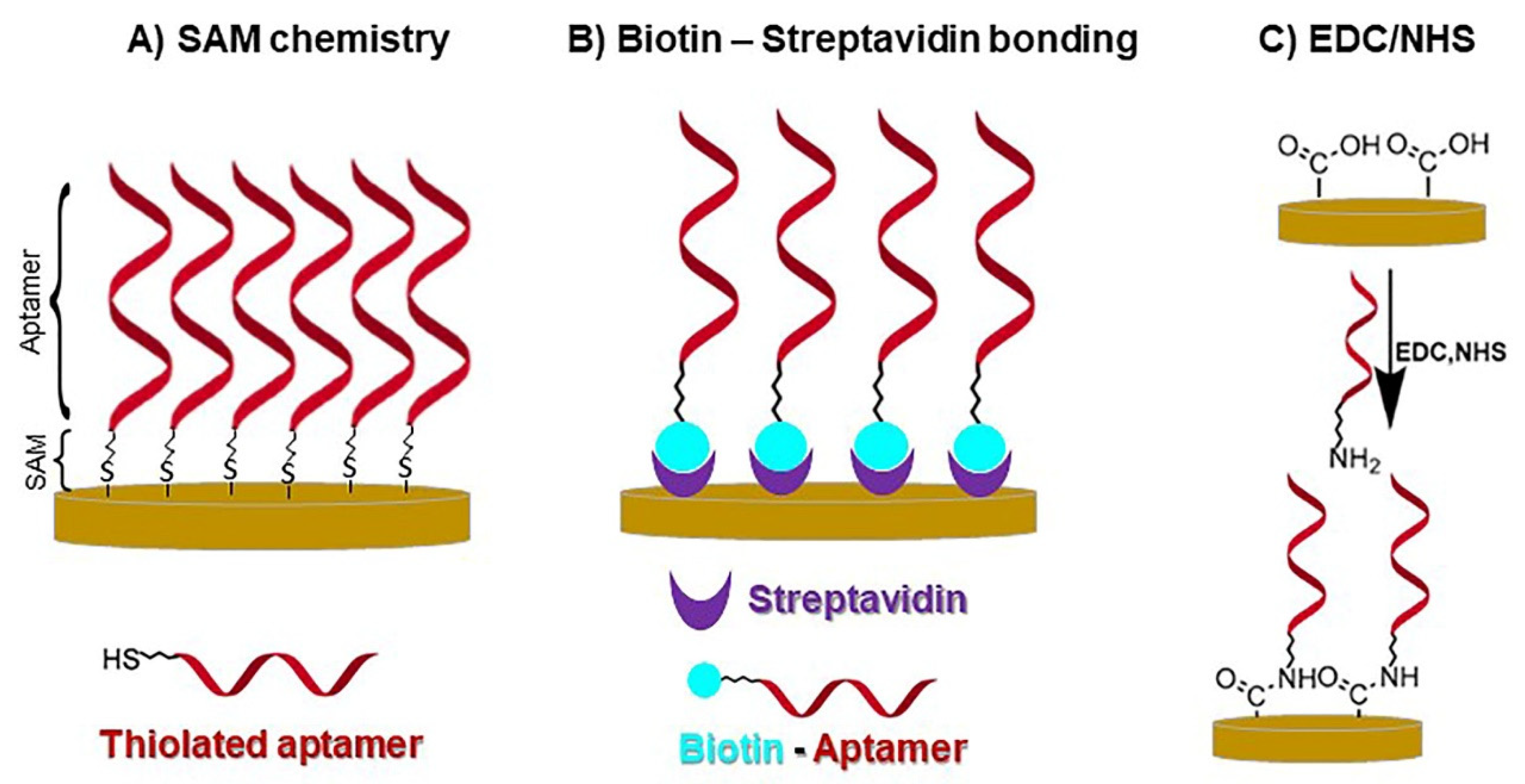 Biosensors 13 00336 g008 Biosensors 13 00336 g008
