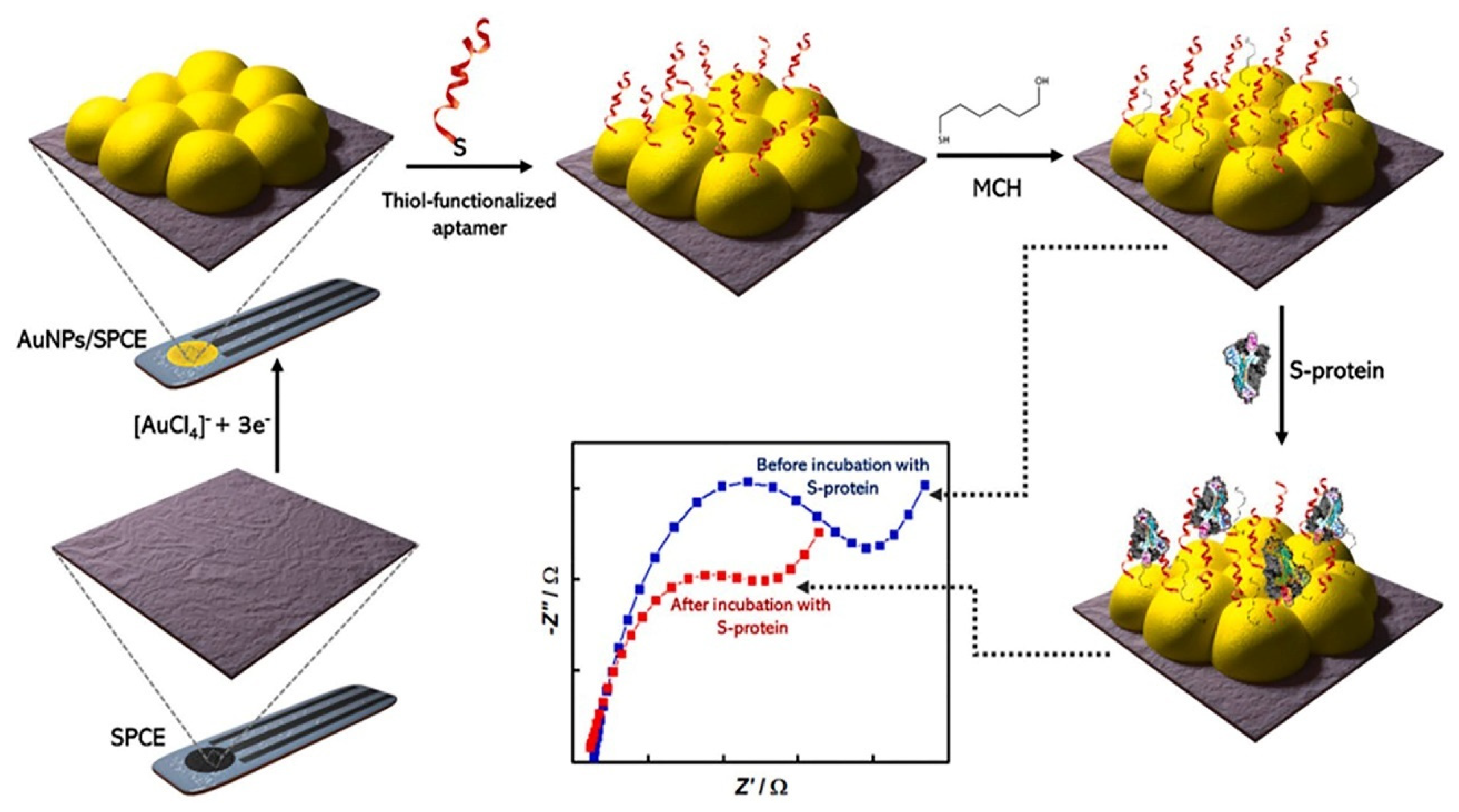 Biosensors 13 00336 g009 Biosensors 13 00336 g009