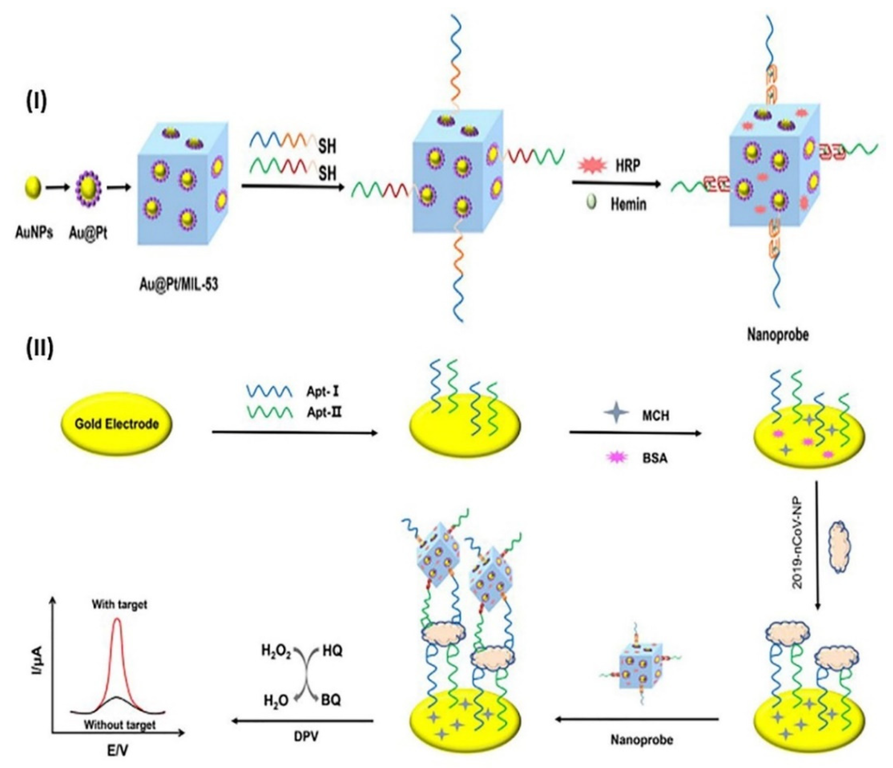 Biosensors | Free Full-Text | Electrochemical And Bioelectrochemical ...