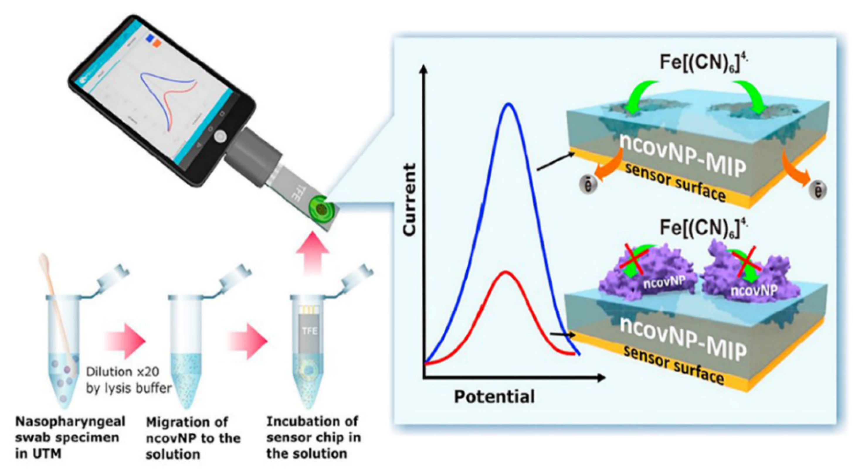 Biosensors 13 00336 g011 Biosensors 13 00336 g011