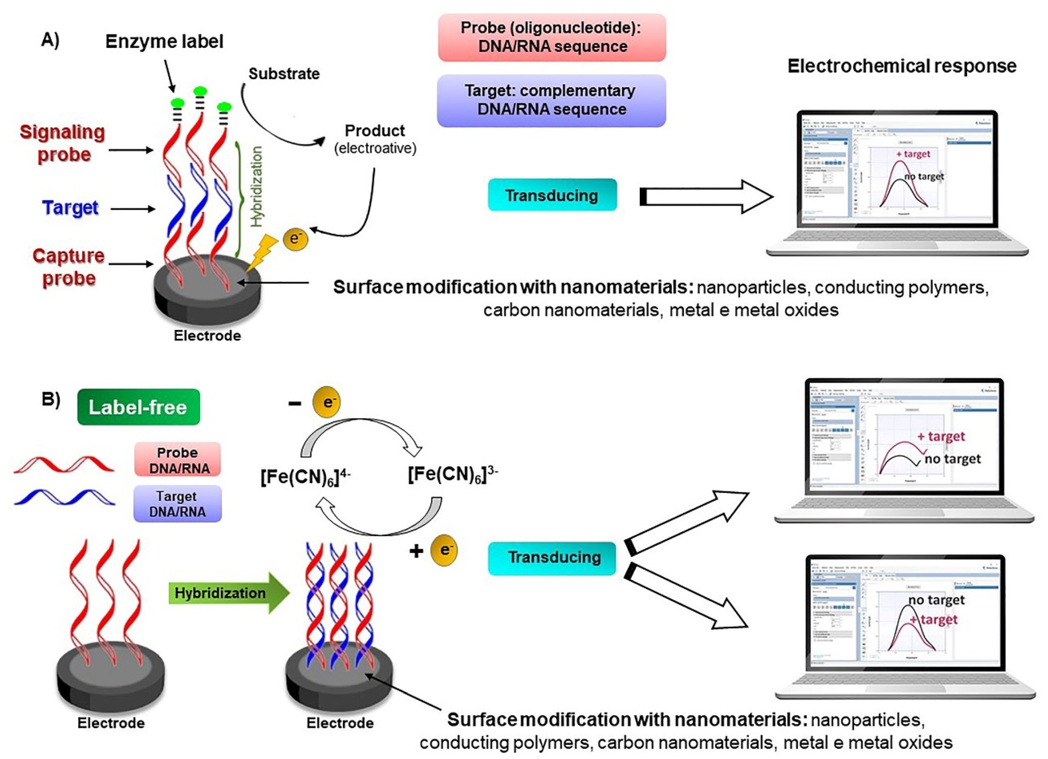 Biosensors 13 00336 sch002 Biosensors 13 00336 sch002
