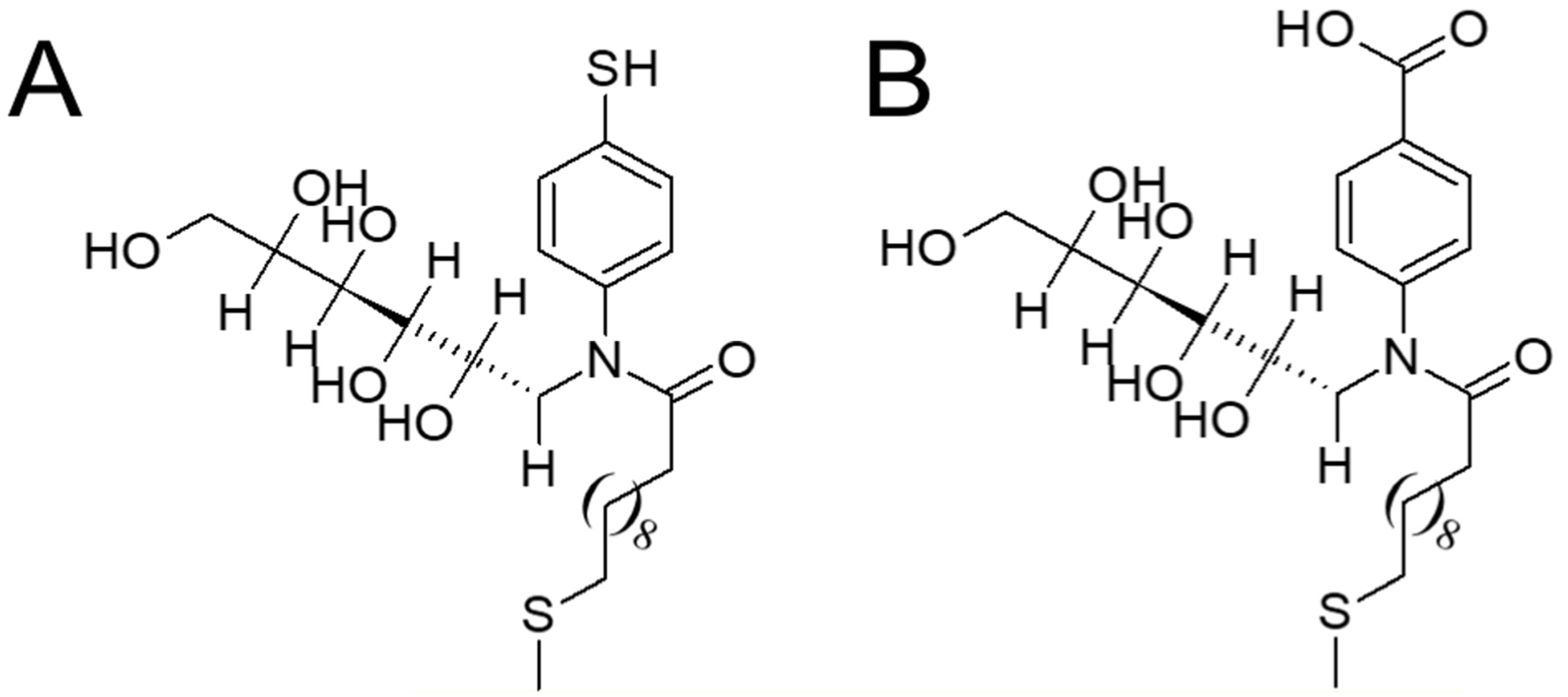 Biosensors 13 00337 sch001 Biosensors 13 00337 sch001