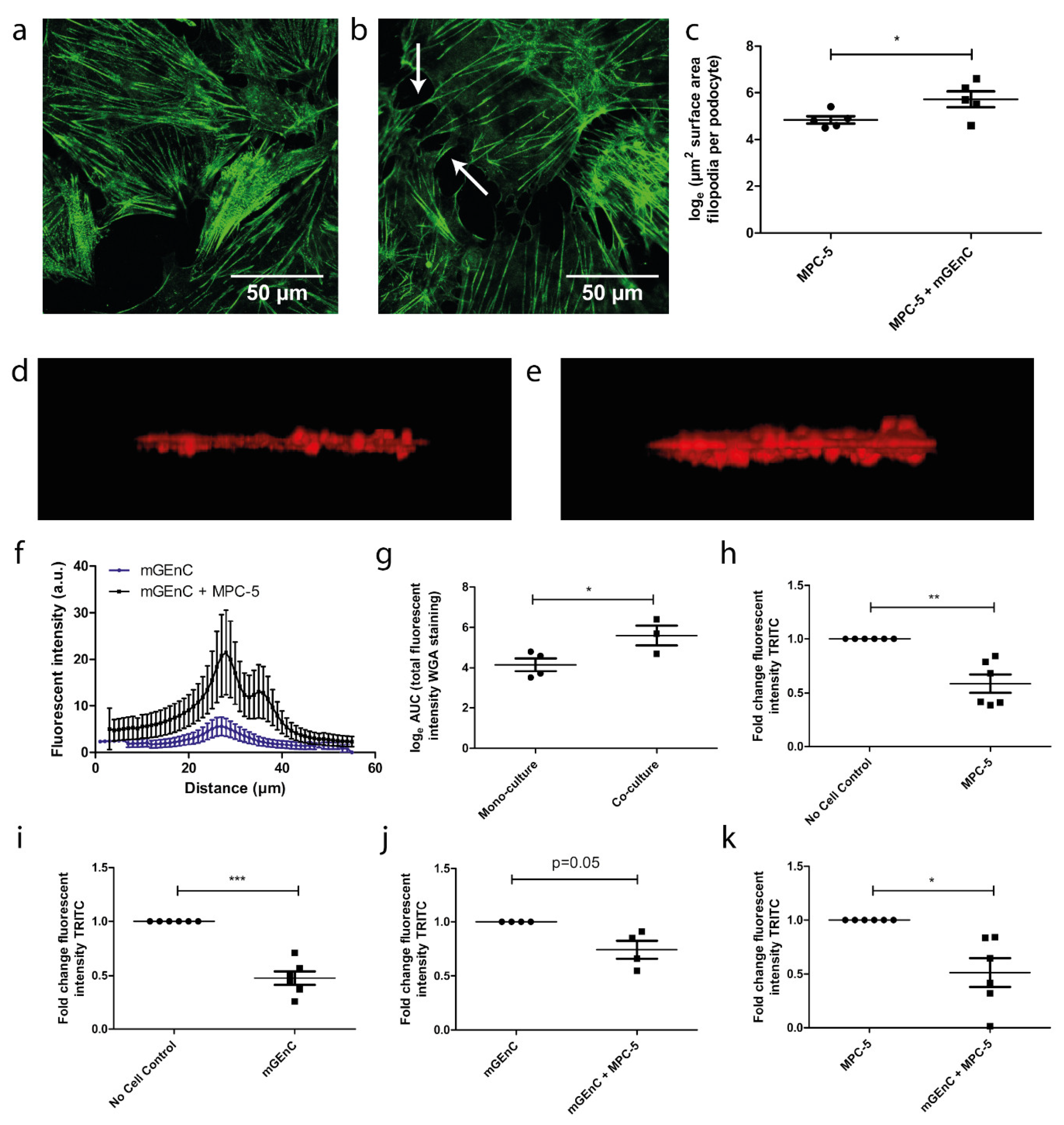 Biosensors 13 00339 g004