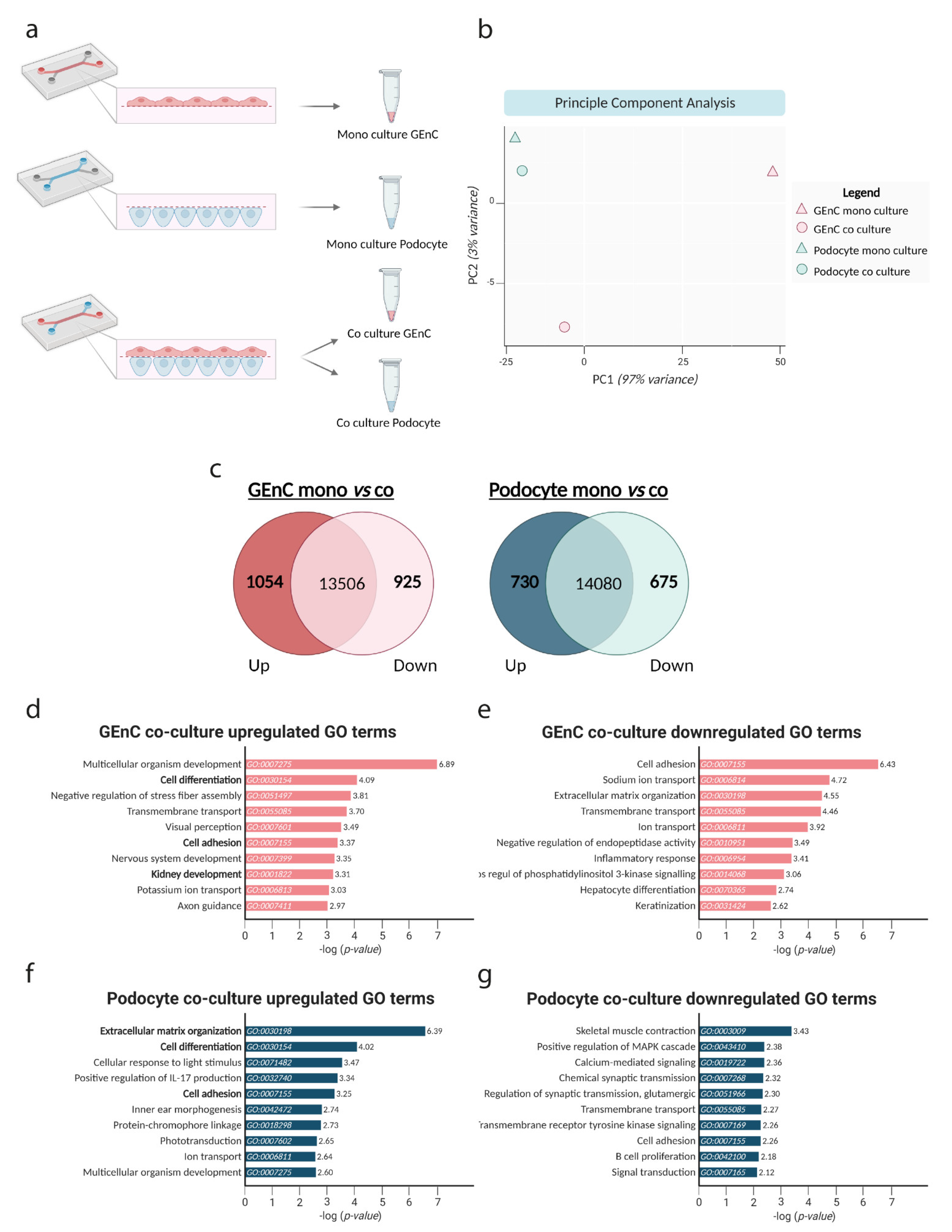 Biosensors 13 00339 g005