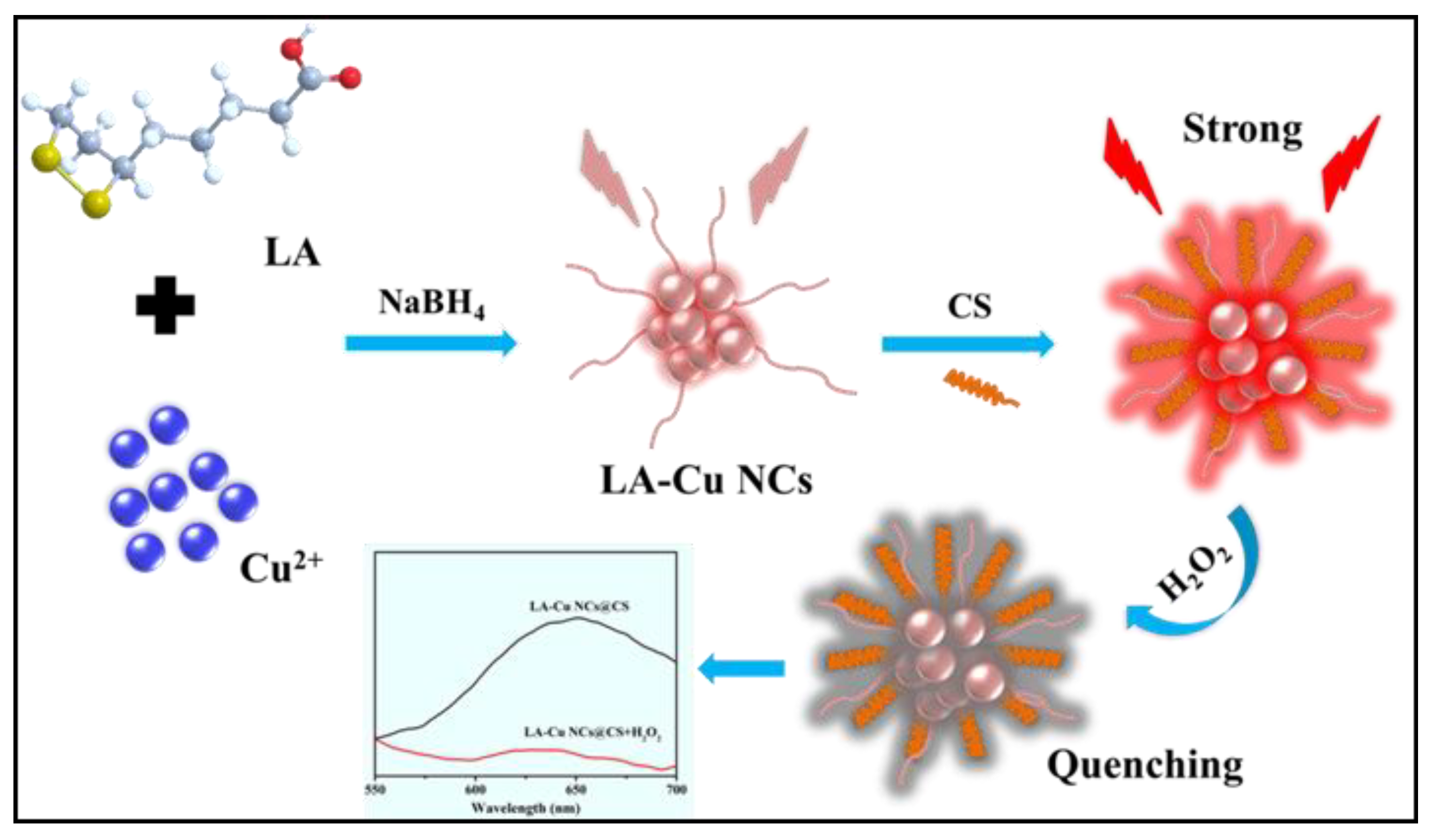 Biosensors 13 00361 sch001 Biosensors 13 00361 sch001