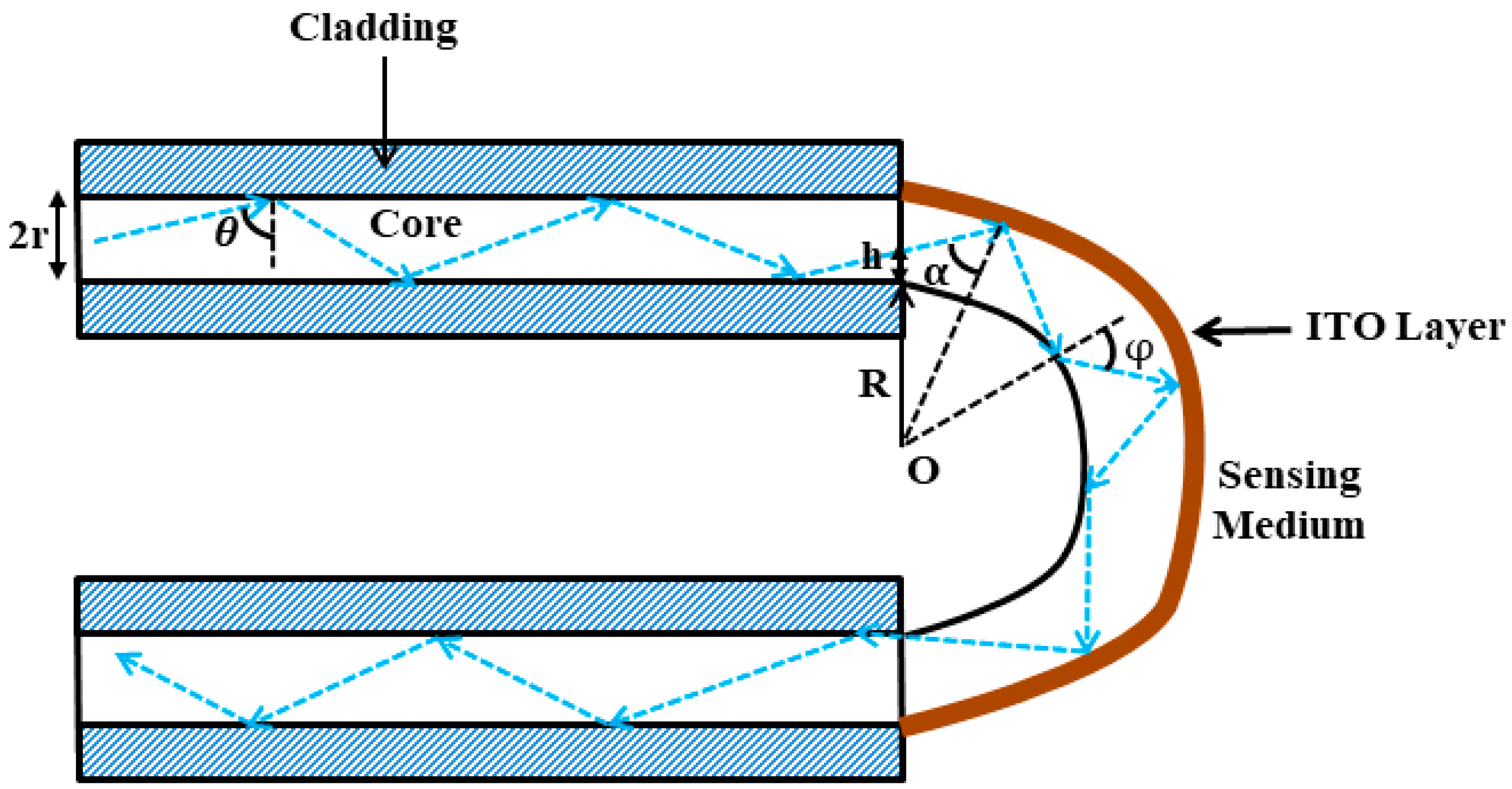 Biosensors 13 00362 g002