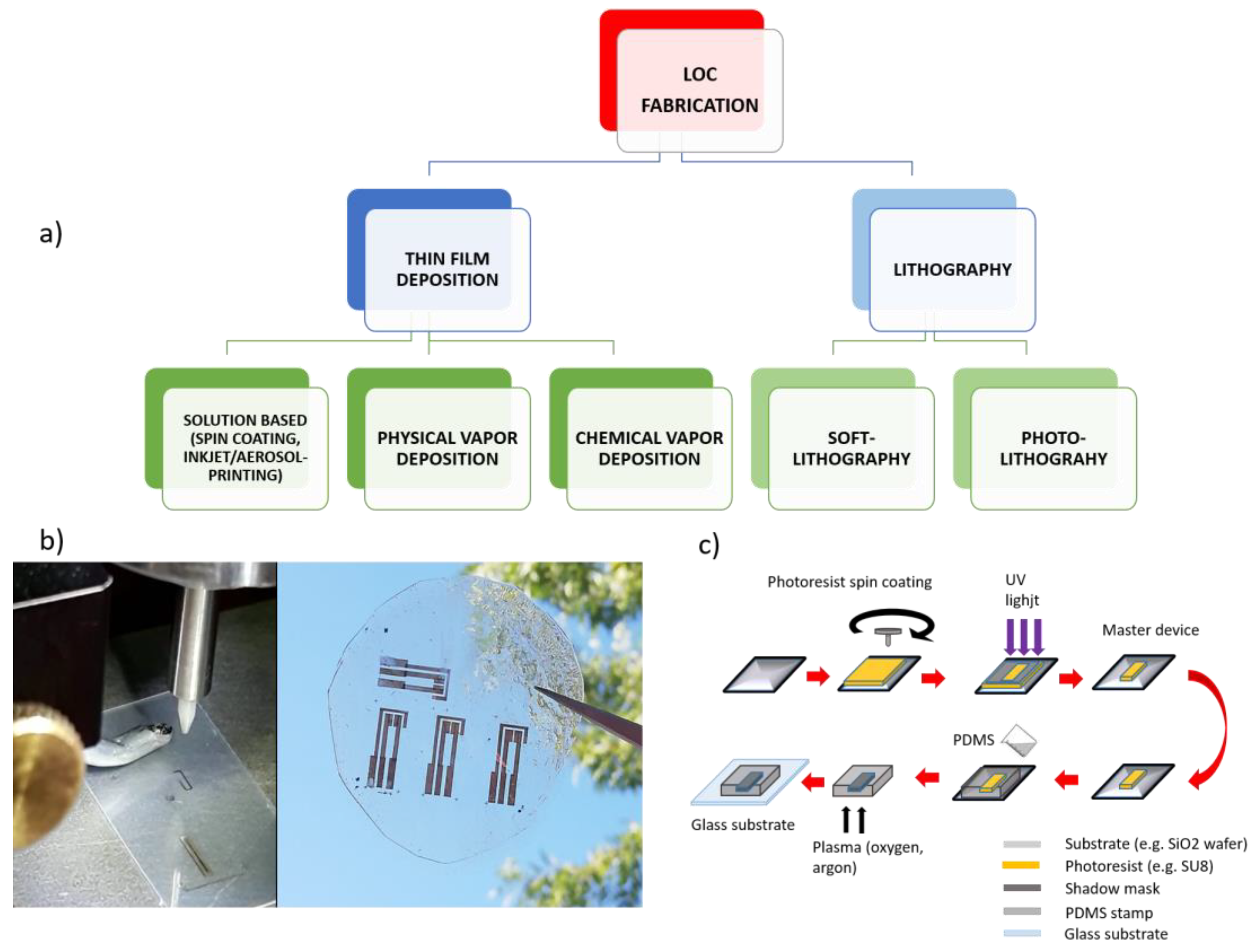 Biosensors 13 00373 g002