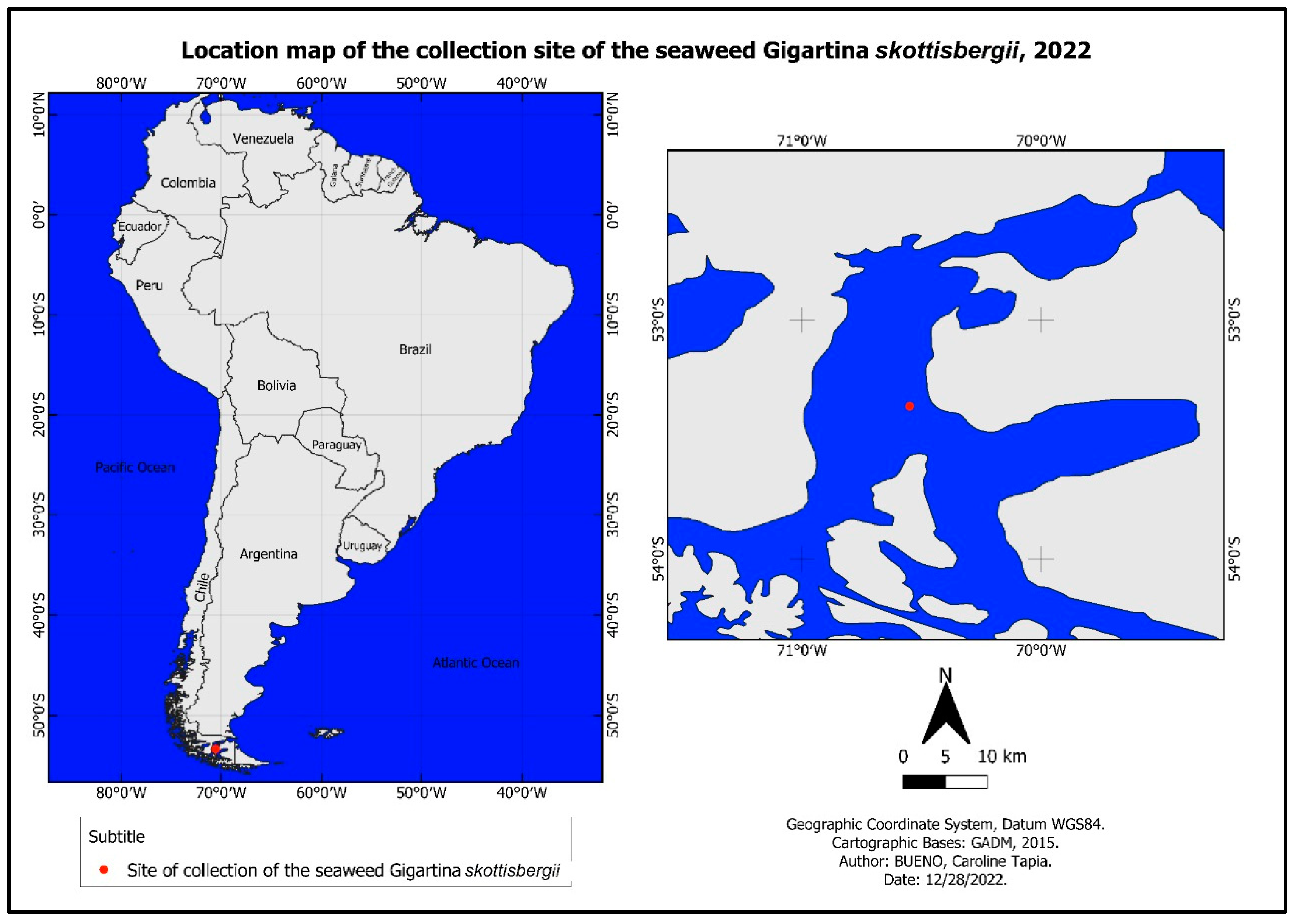 Biosensors 13 00378 g002