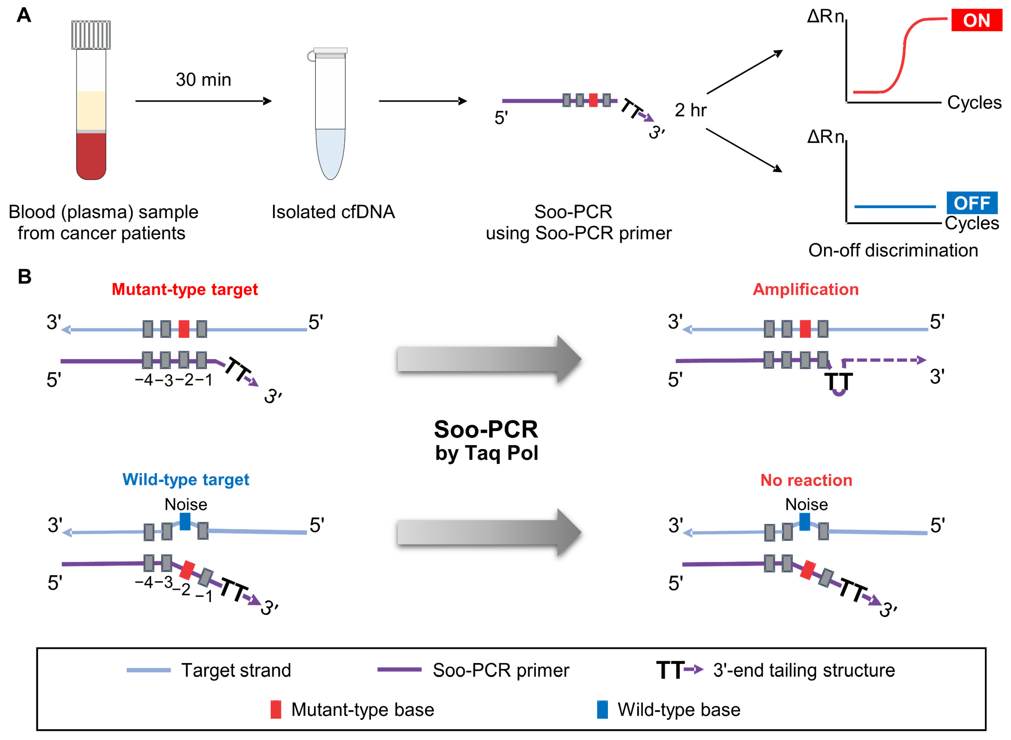Biosensors 13 00380 g001