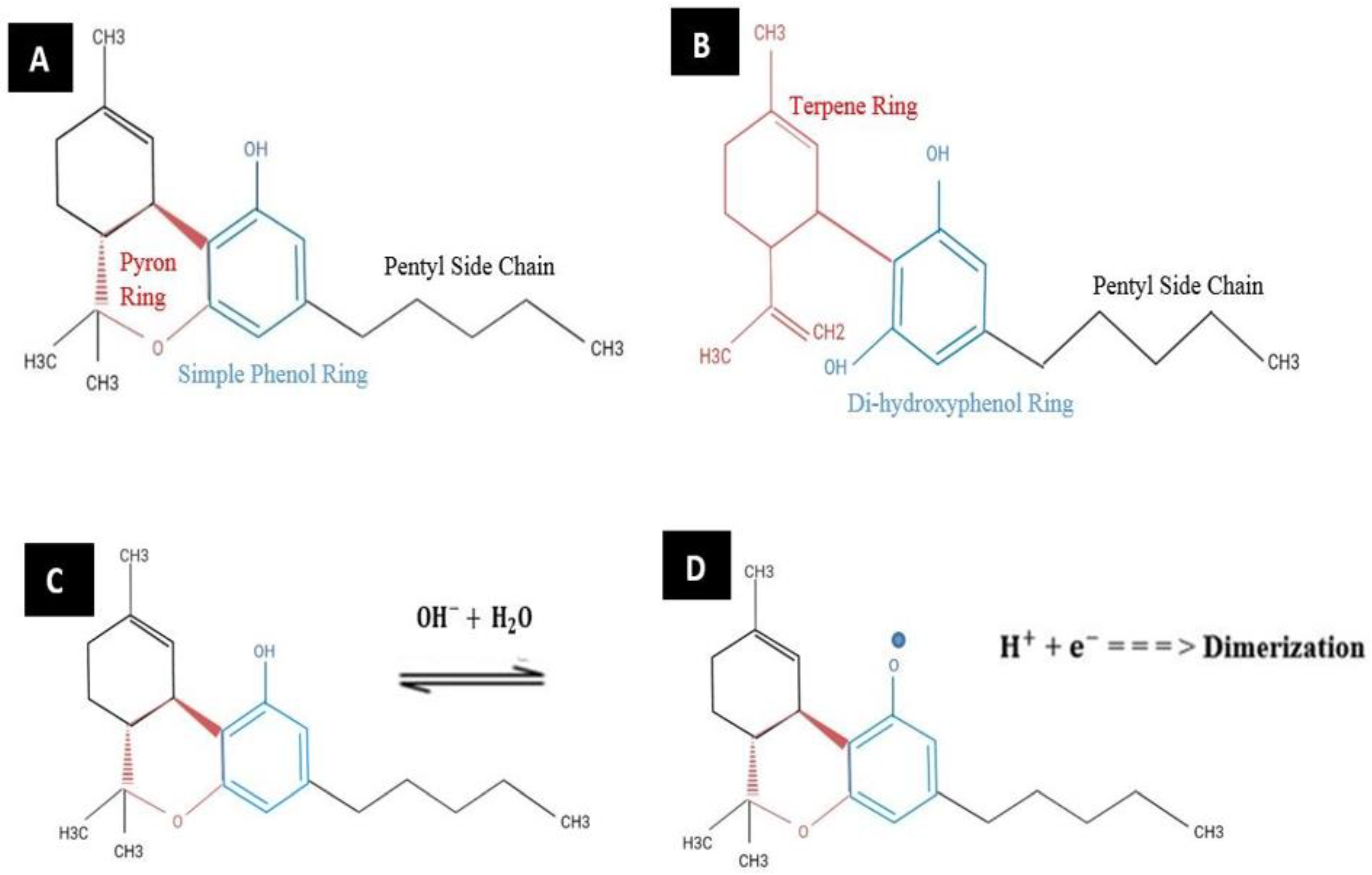 Biosensors 13 00384 g001