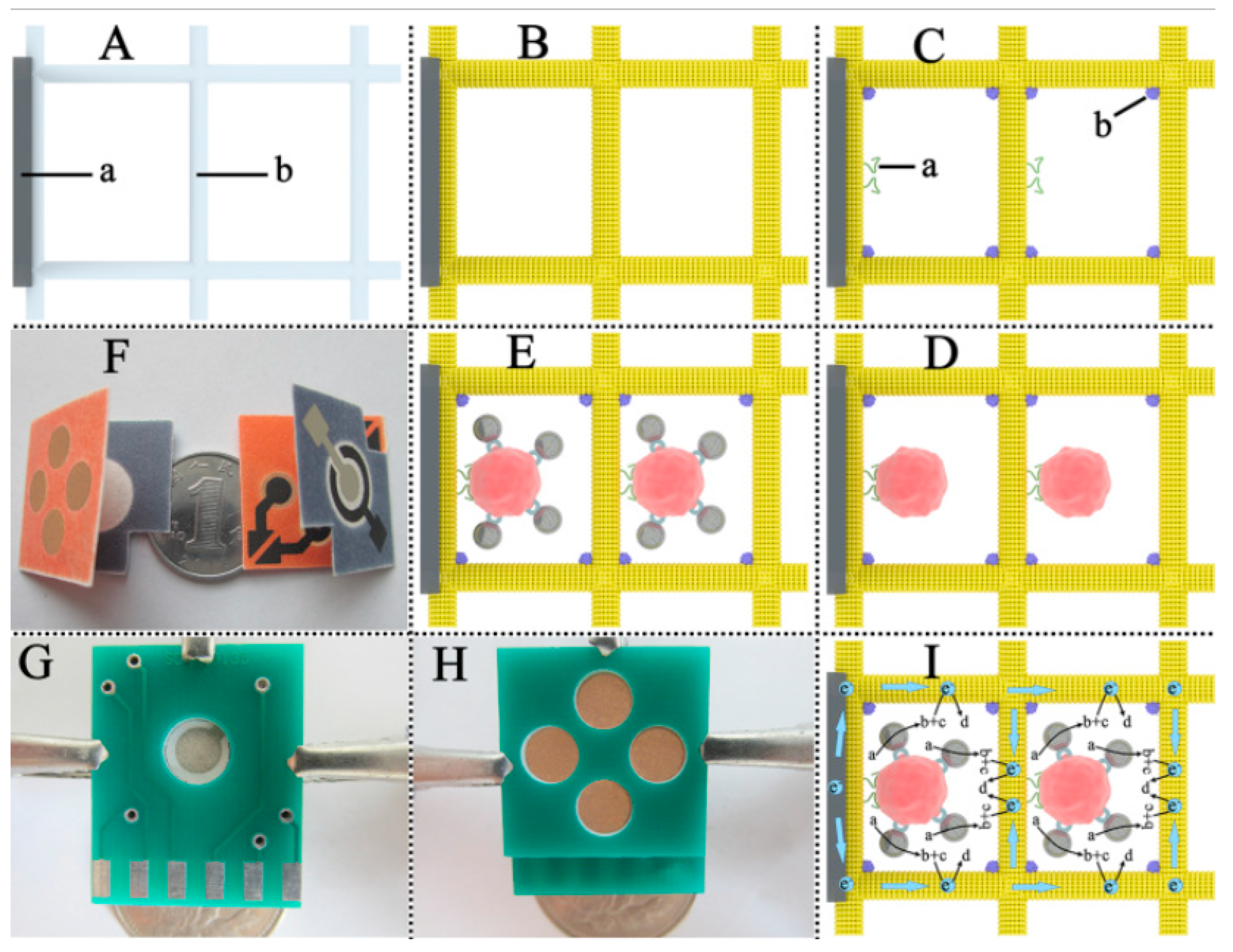 Biosensors 13 00387 g006
