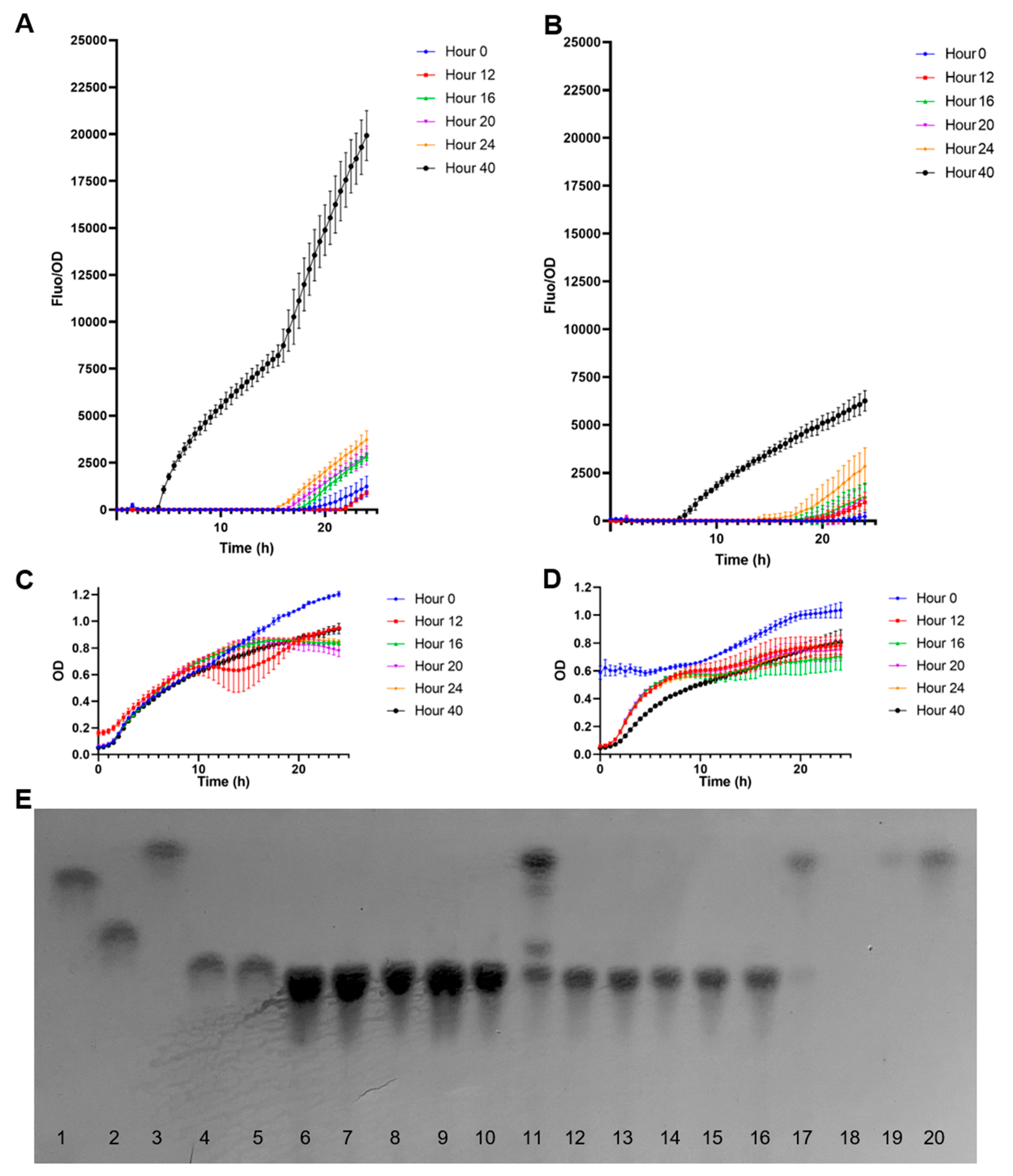 Biosensors 13 00388 g006