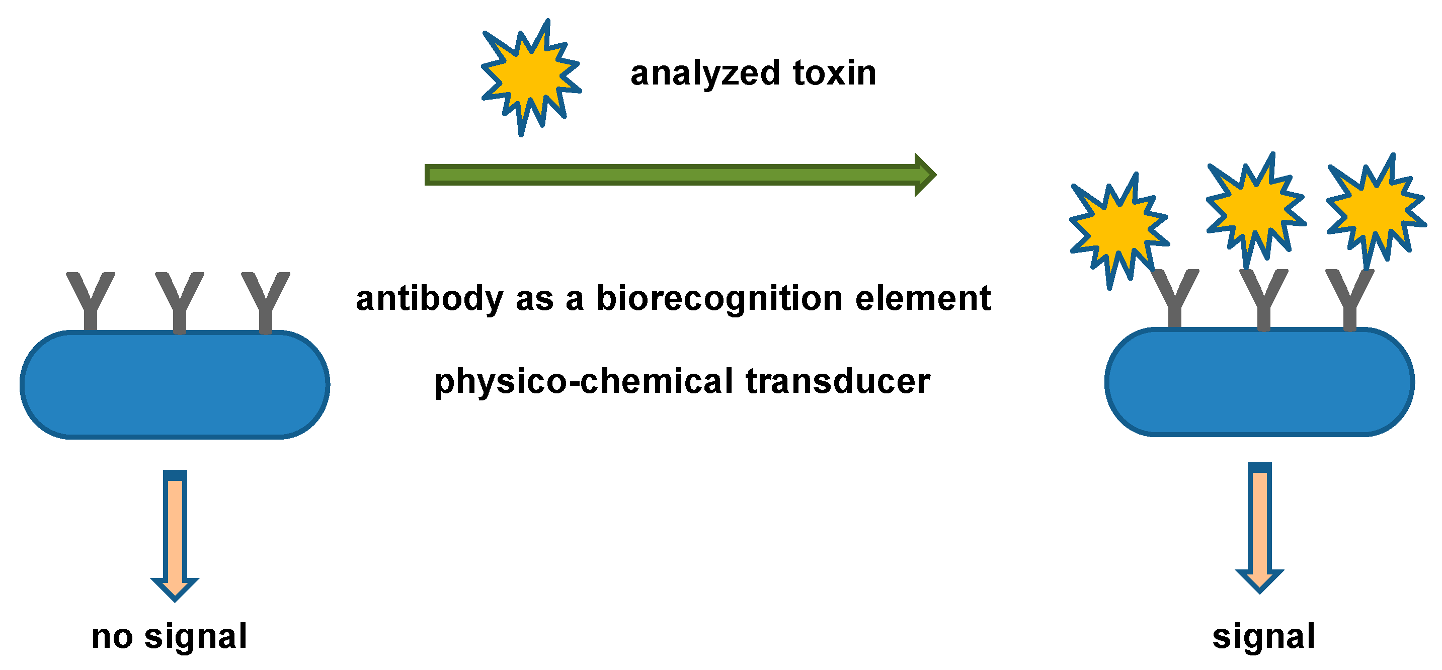 Nanoparticle-Based Immunochemical Biosensors and Assays: Recent