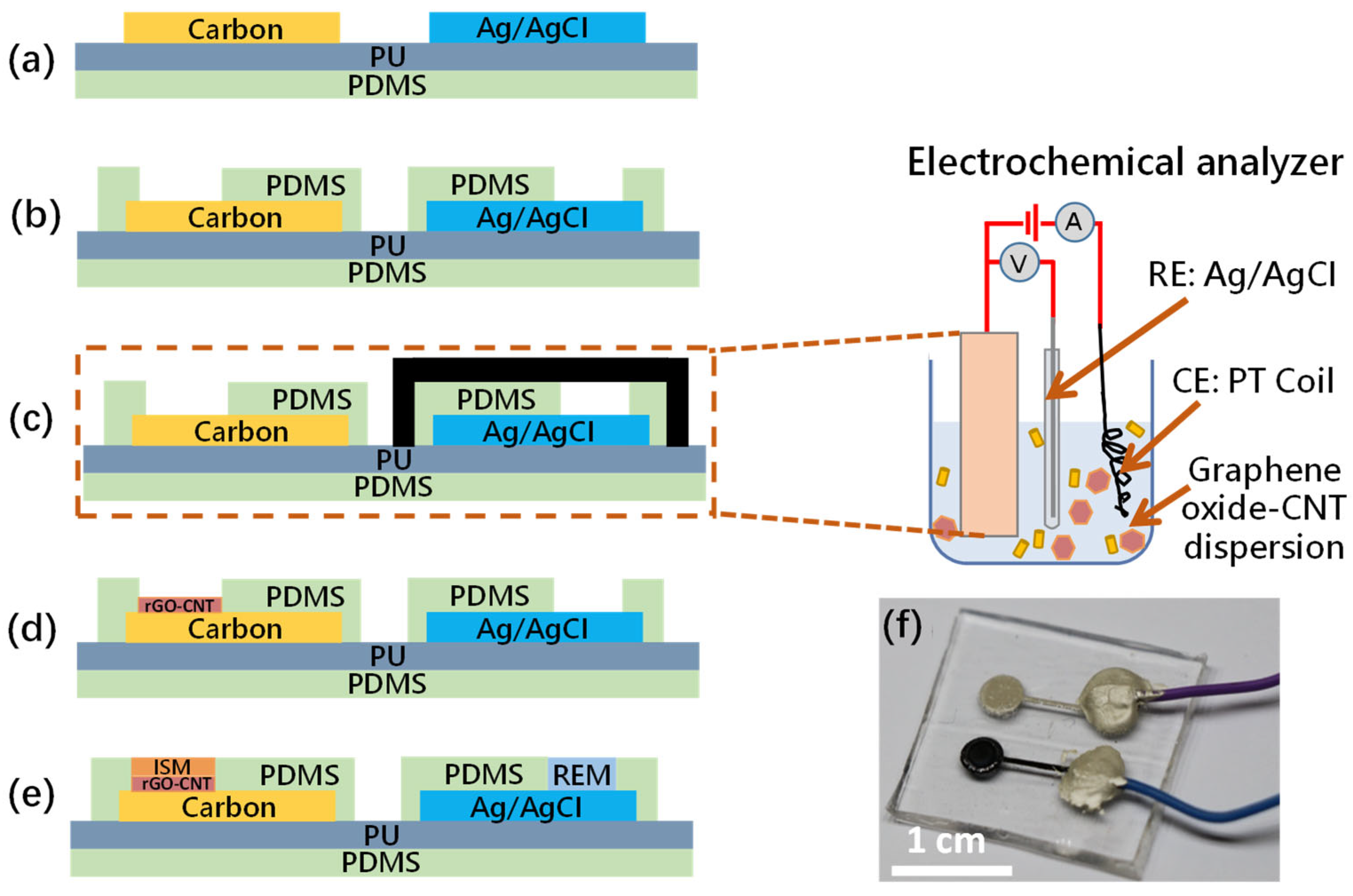 Biosensors, Free Full-Text