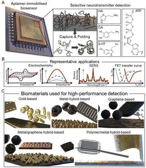 Biosensors Free Full Text Recent Advances In Aptamer Based Sensors For Sensitive Detection