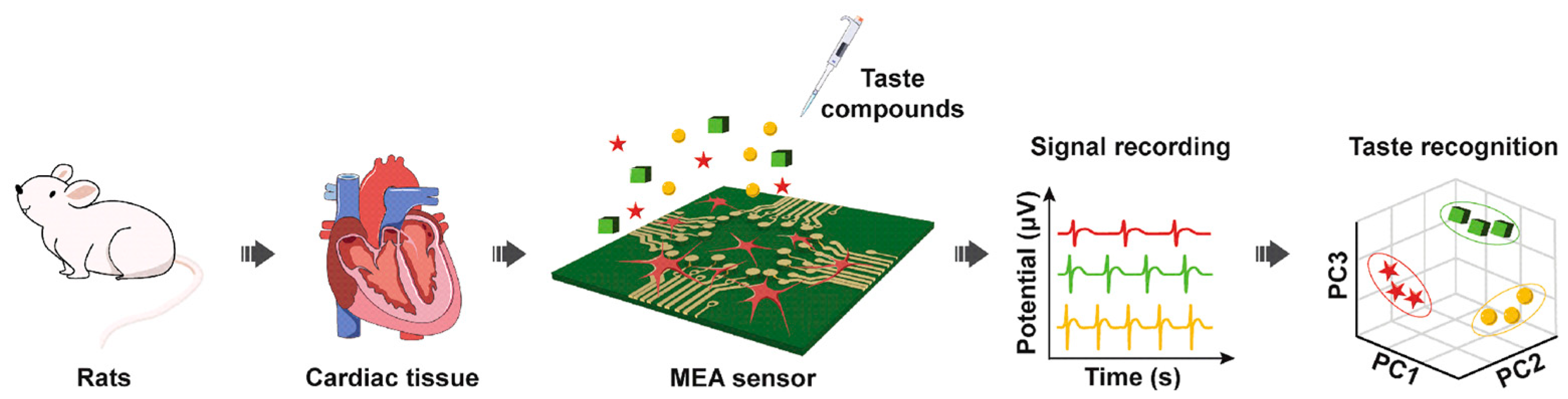 Biosensors 13 00414 g006 Biosensors 13 00414 g006