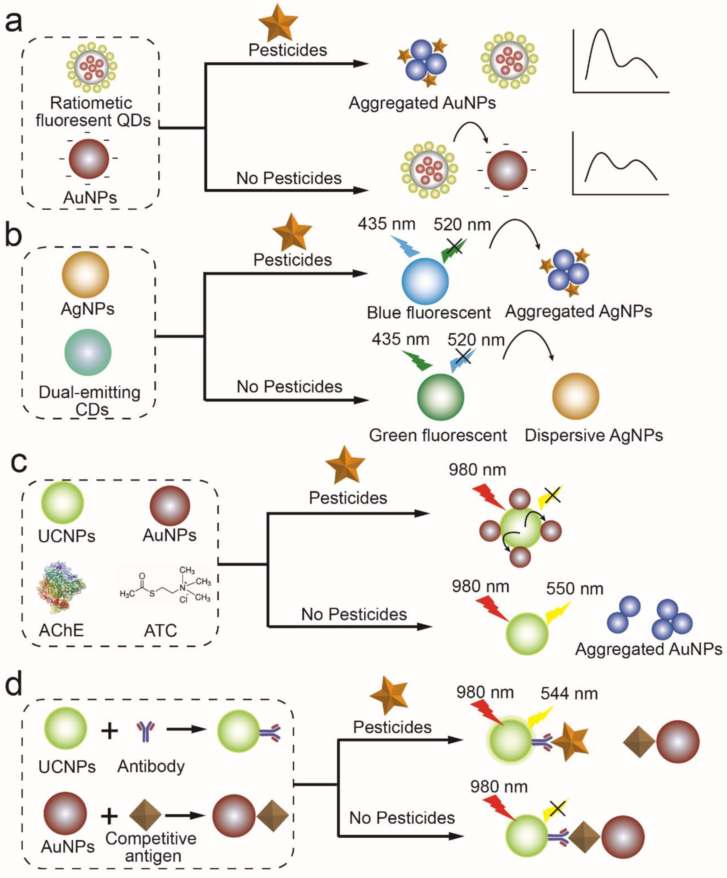 Biosensors 13 00415 g004