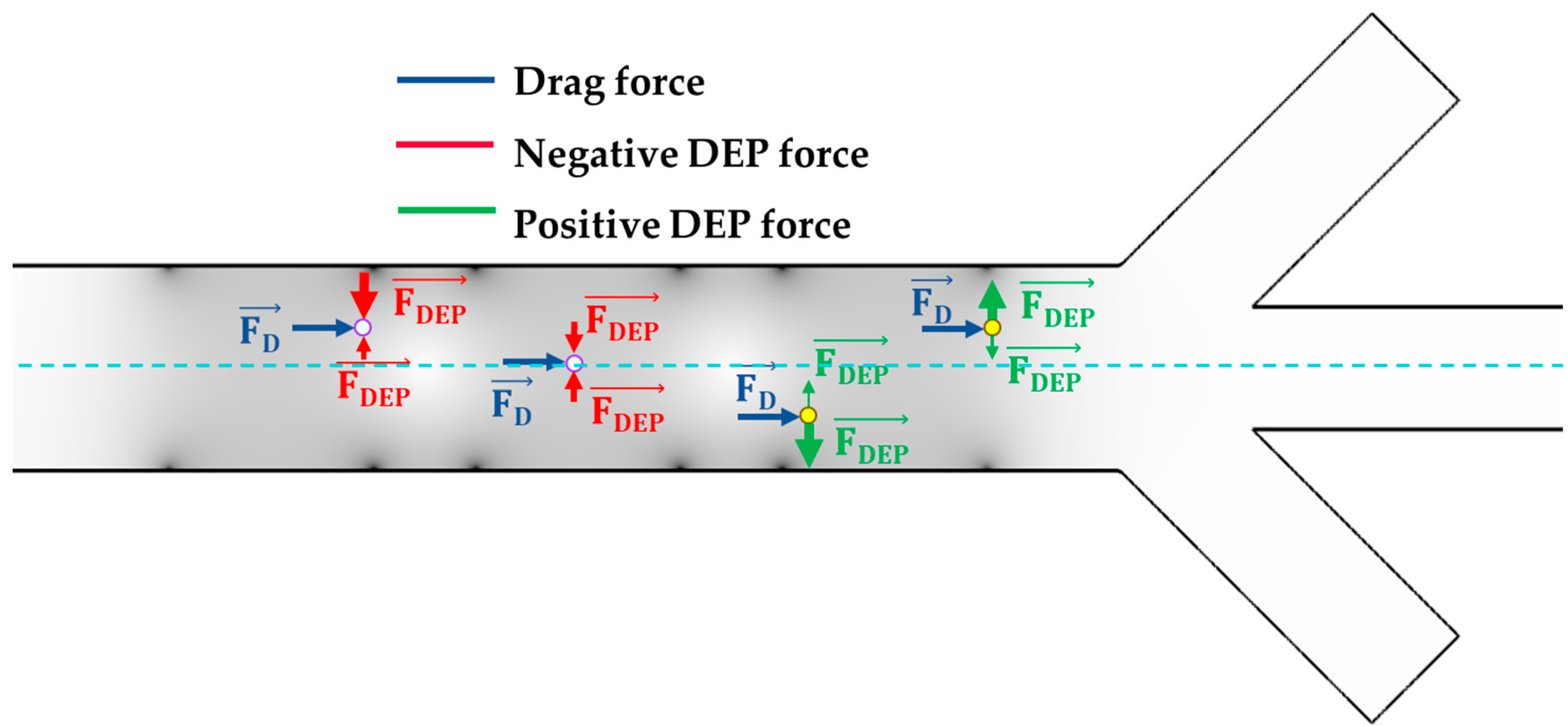 Biosensors 13 00418 g006