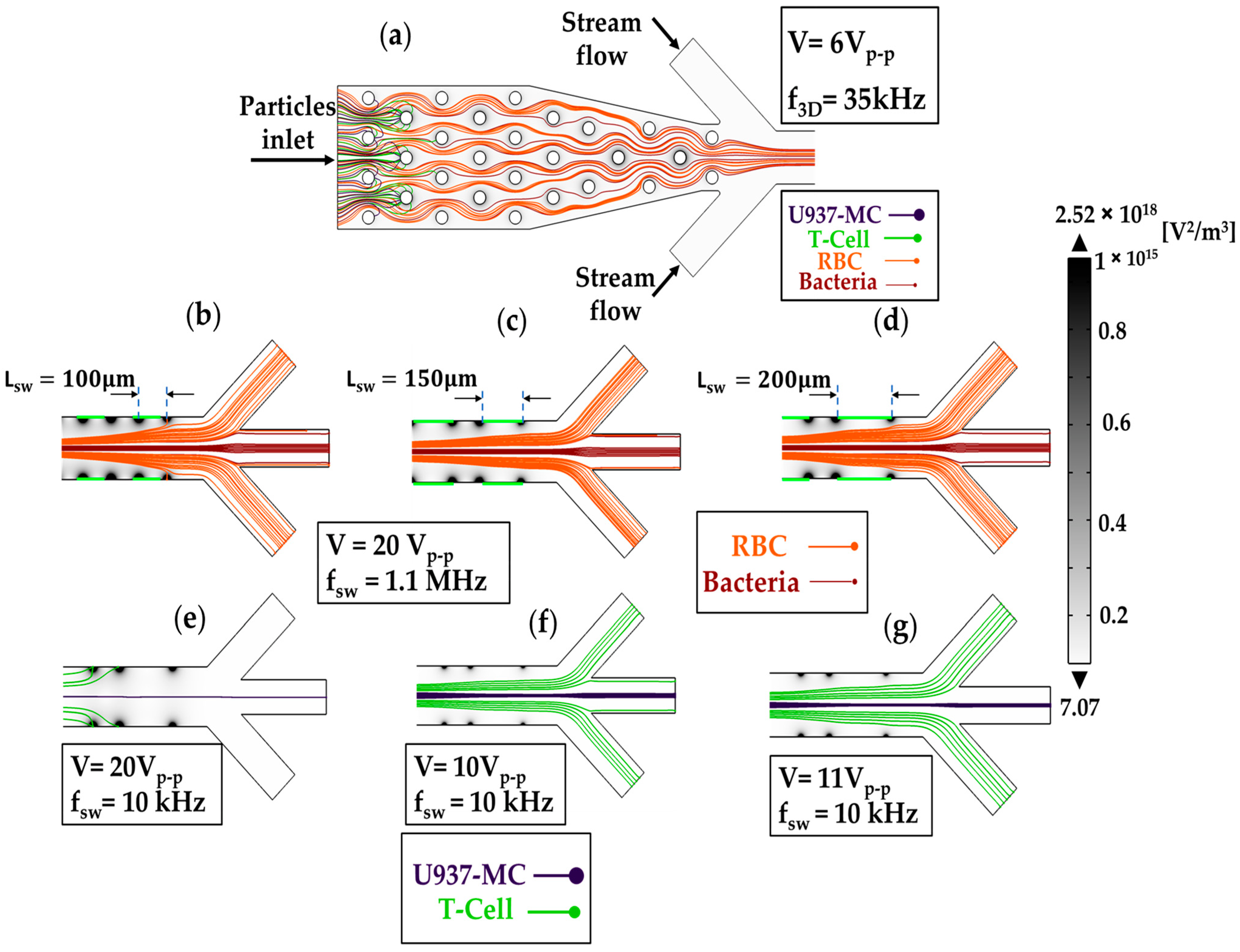 Biosensors 13 00418 g008