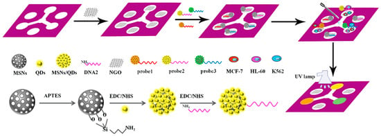 Biosensors | Free Full-Text | Trends in Paper-Based Sensing Devices for ...