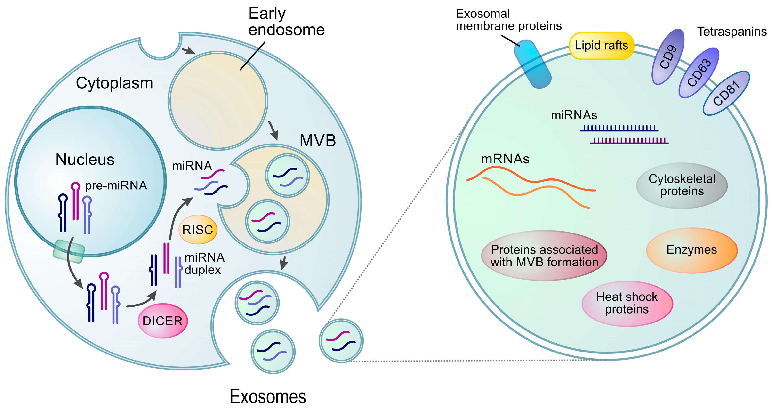 Biosensors 13 00422 g002