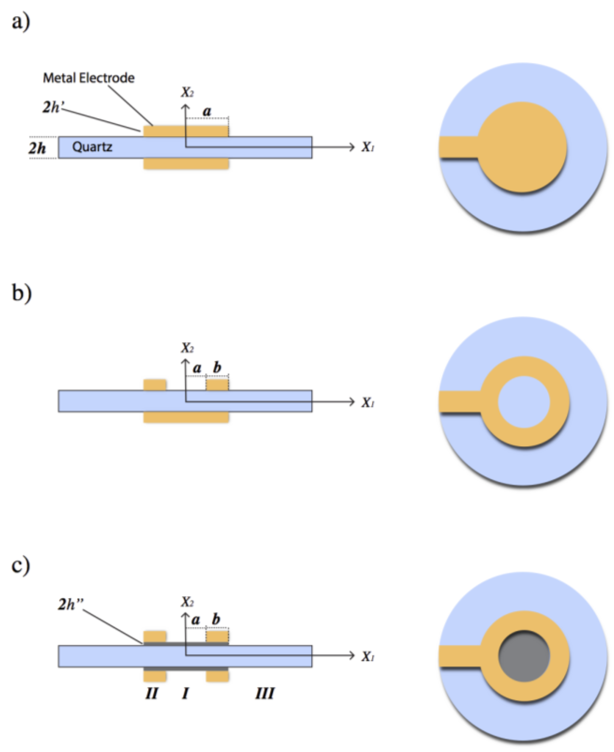 Biosensors 13 00433 g001 Biosensors 13 00433 g001