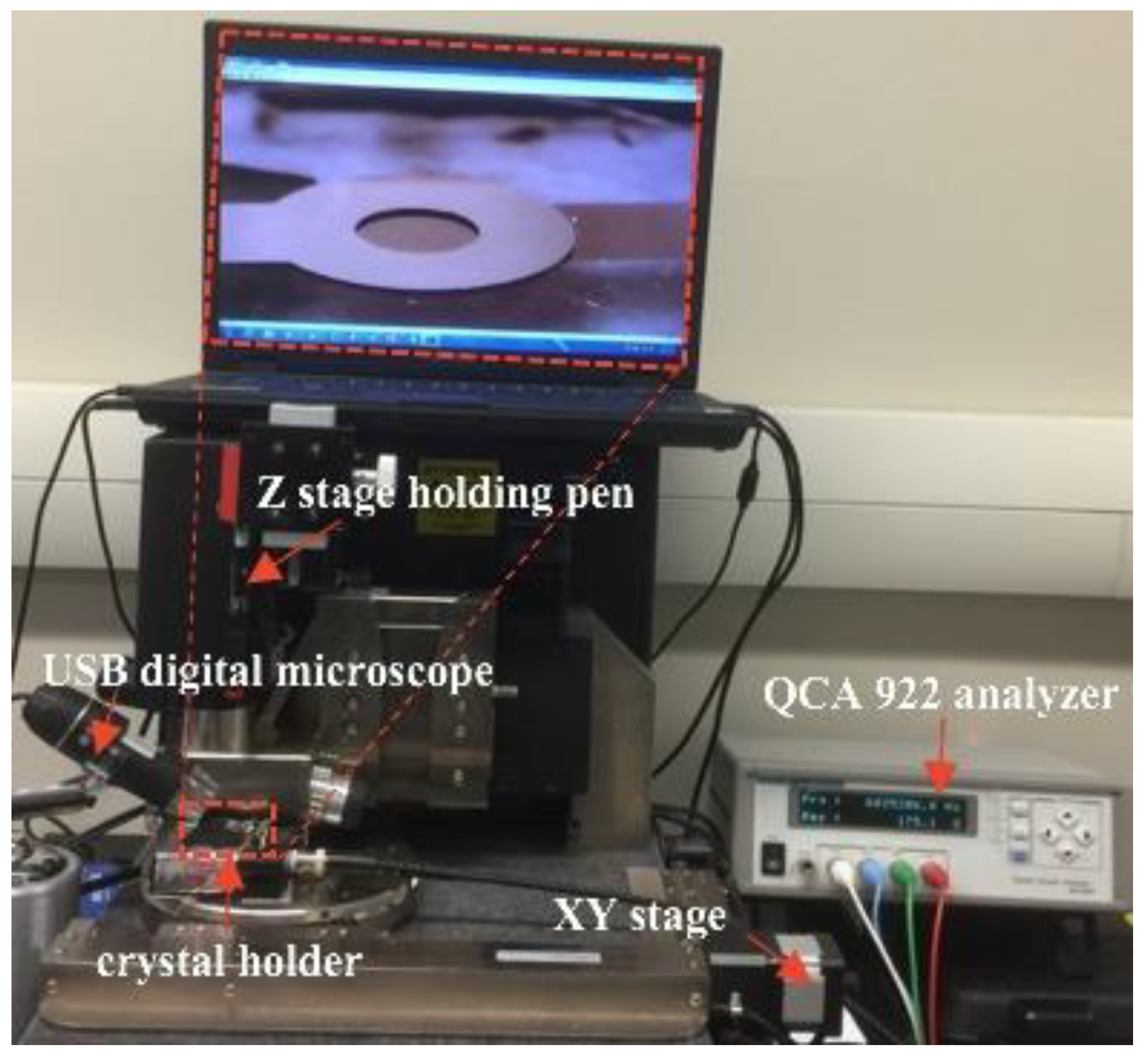 Biosensors 13 00433 g002 Biosensors 13 00433 g002