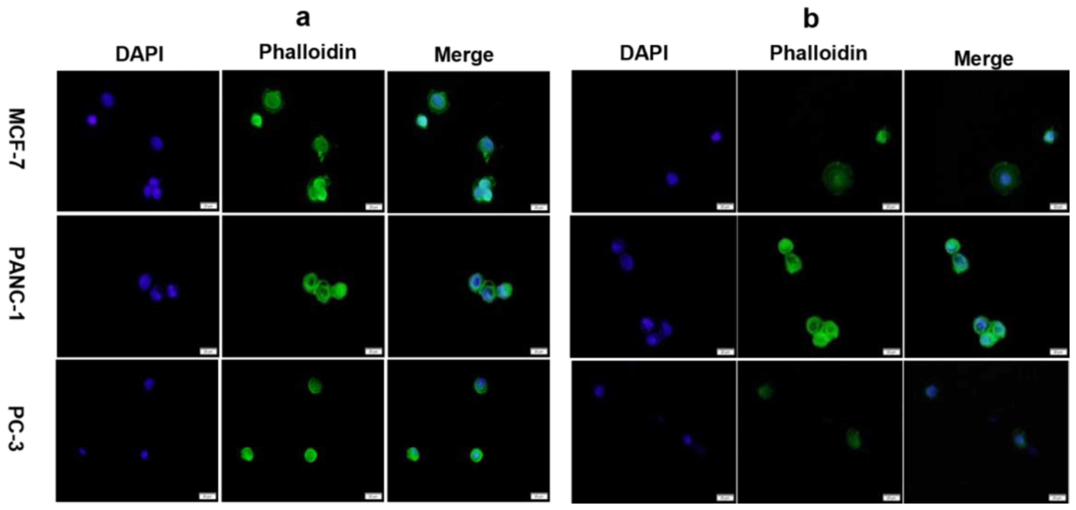 Biosensors 13 00433 g007 Biosensors 13 00433 g007