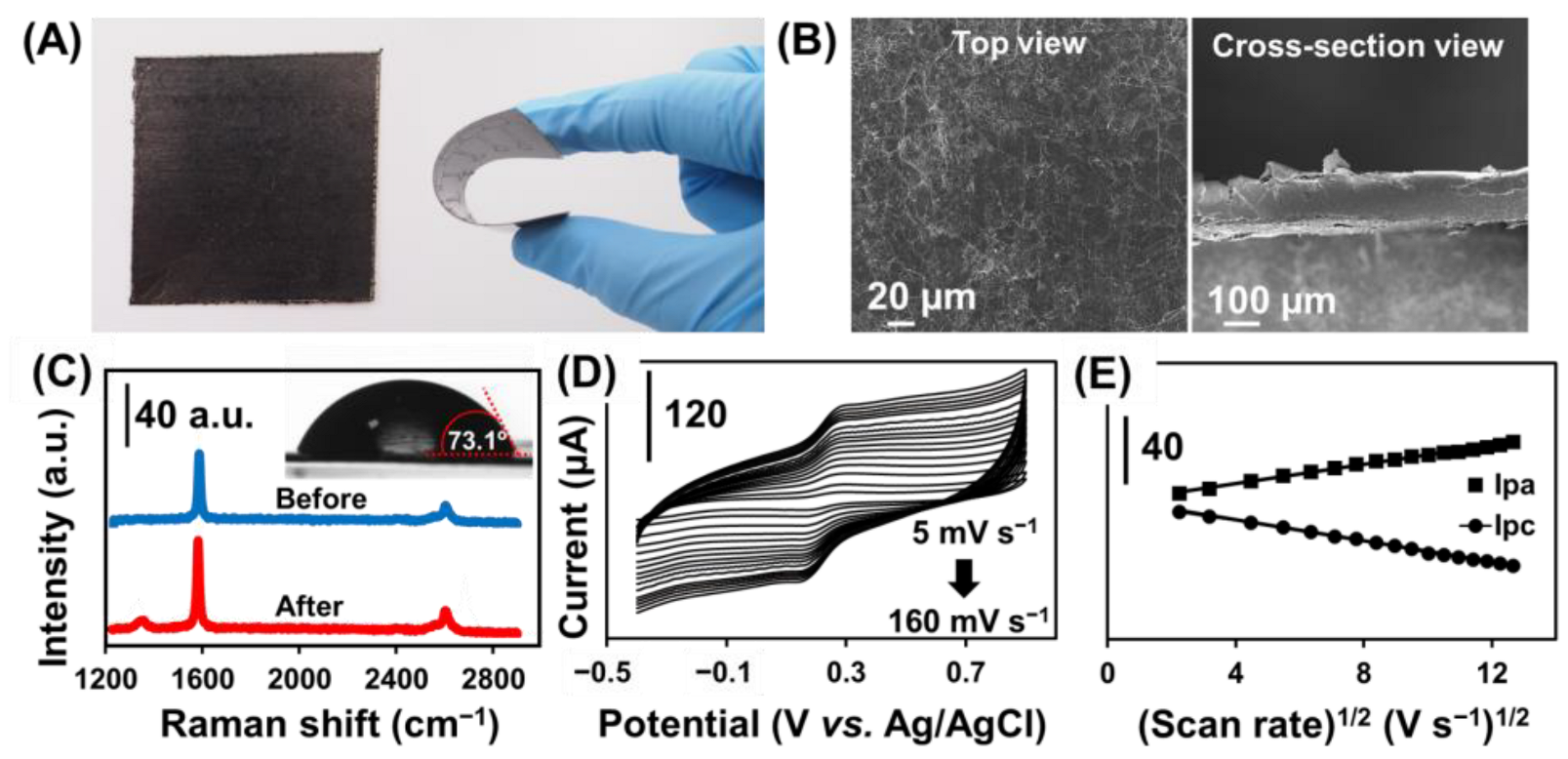 Biosensors 13 00446 g002