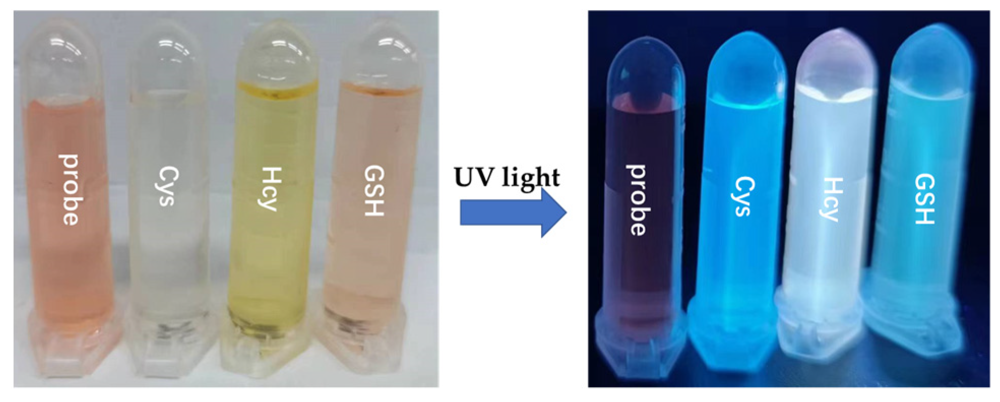 Biosensors 13 00447 g001 Biosensors 13 00447 g001