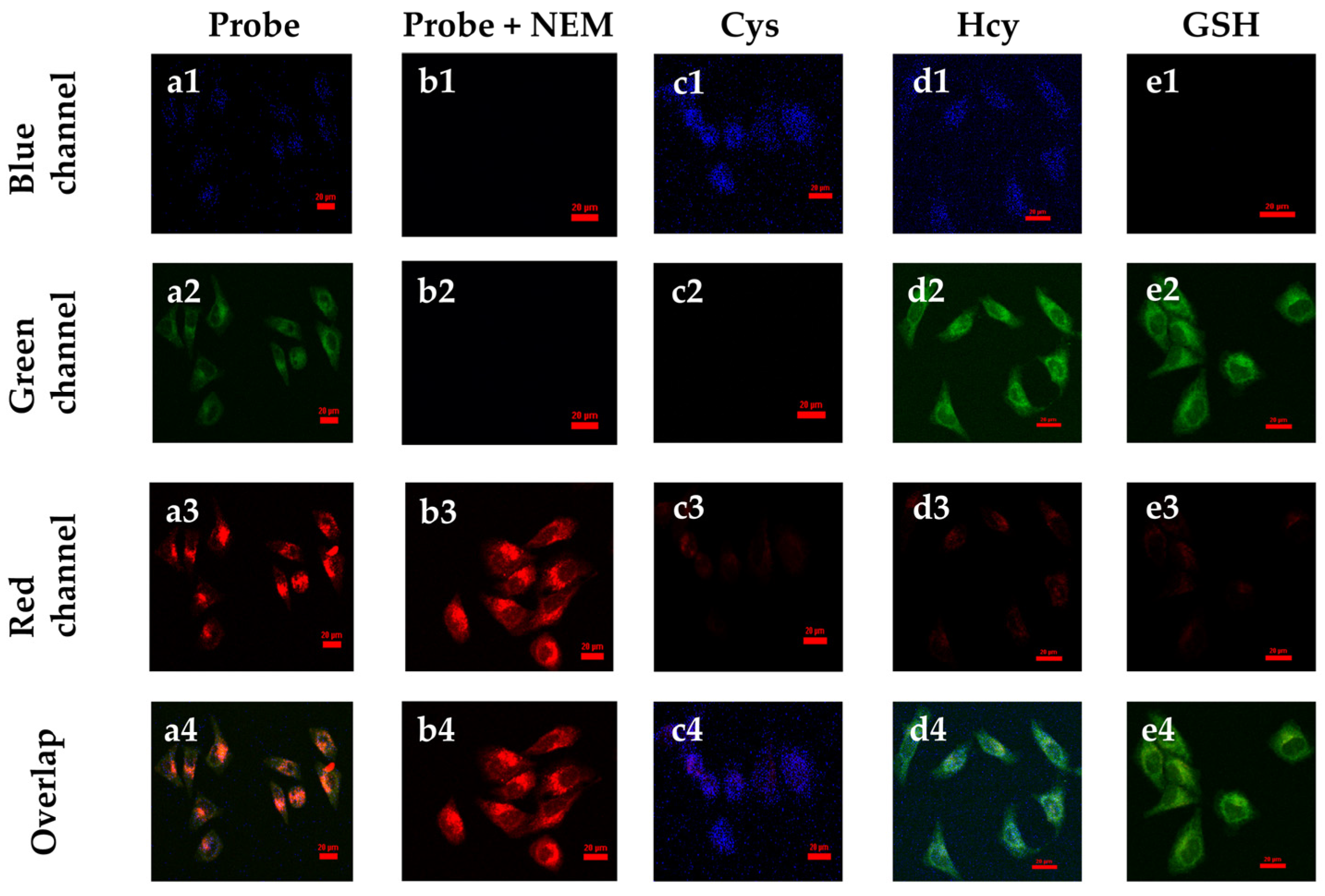 Biosensors 13 00447 g005 Biosensors 13 00447 g005
