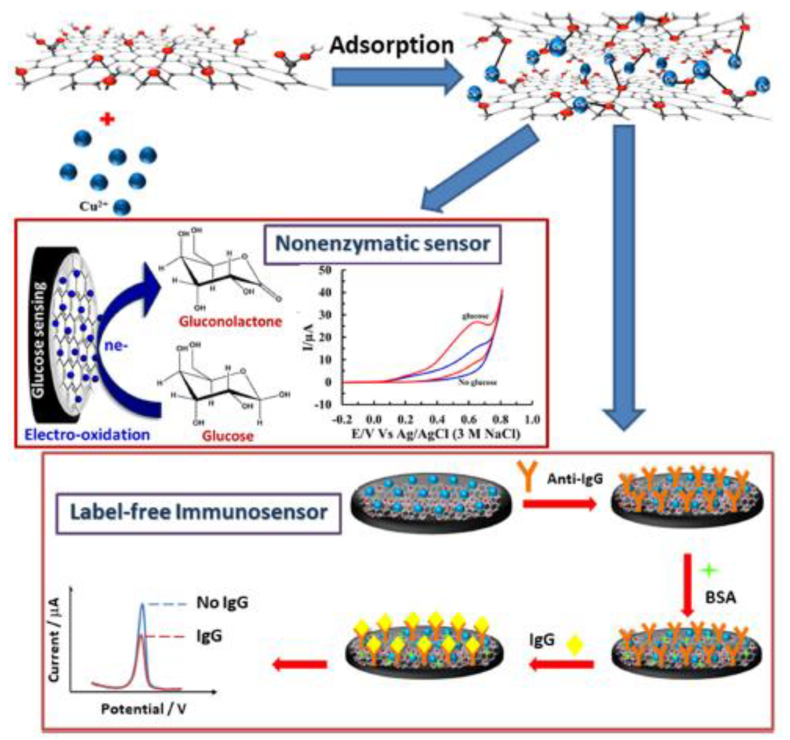 Biosensors 13 00453 g003 Biosensors 13 00453 g003