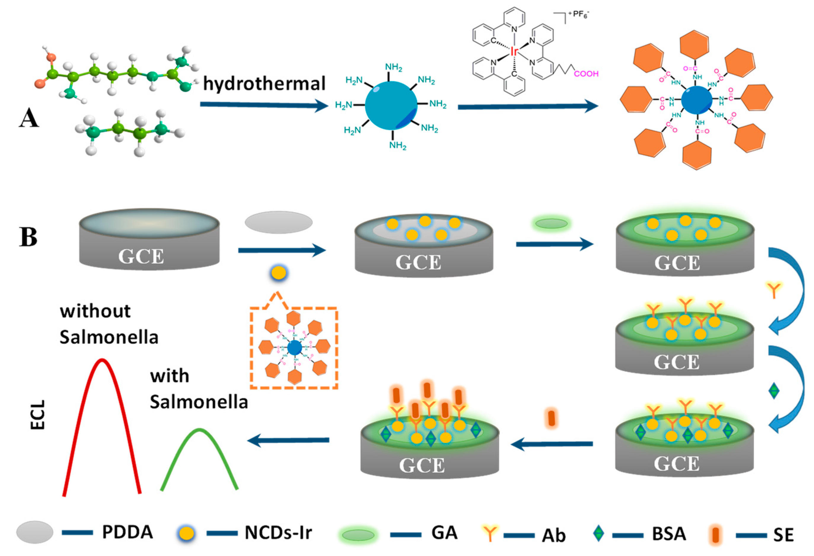 Biosensors 13 00459 sch001 Biosensors 13 00459 sch001